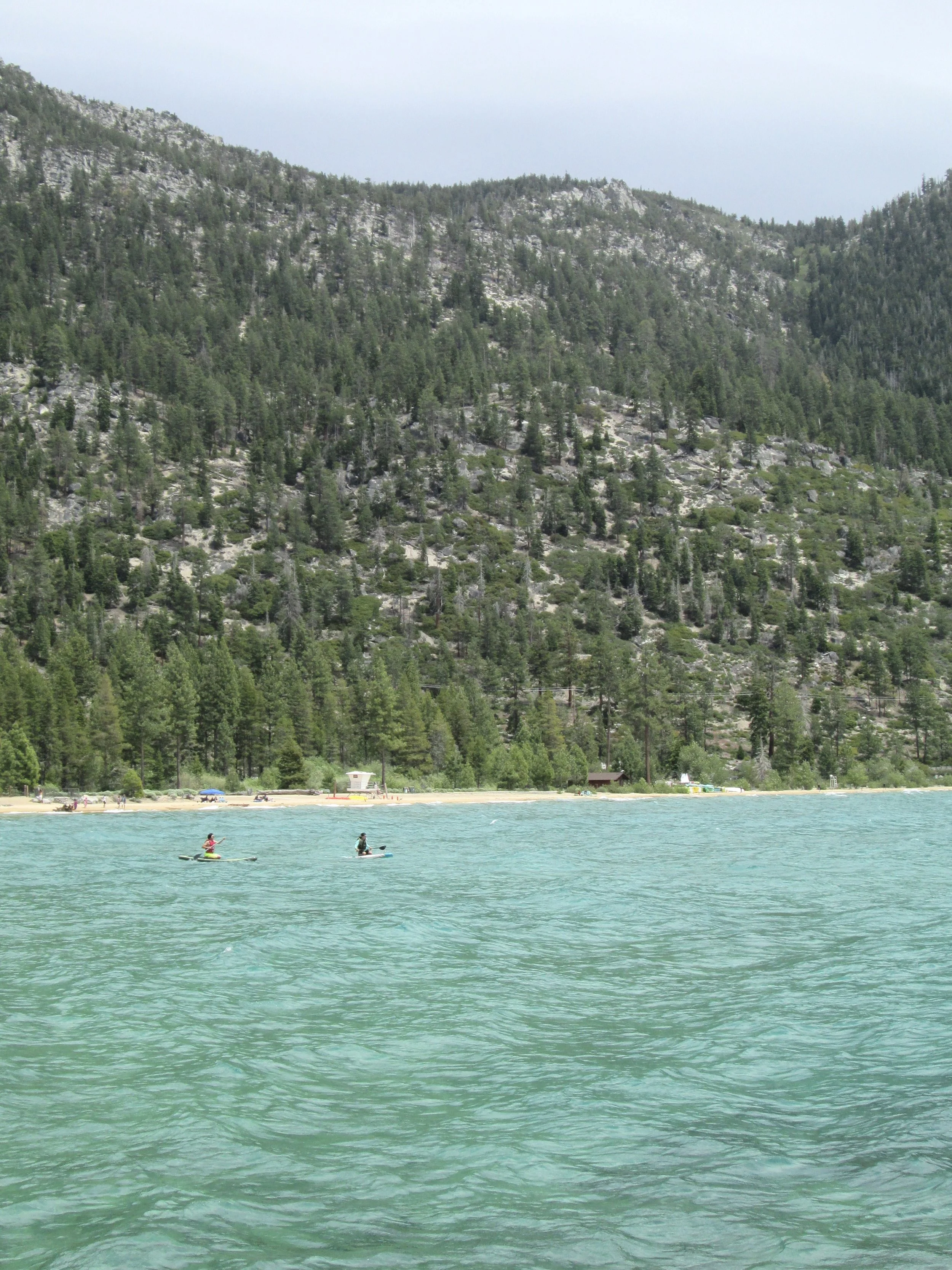 IMG_7586.jpg