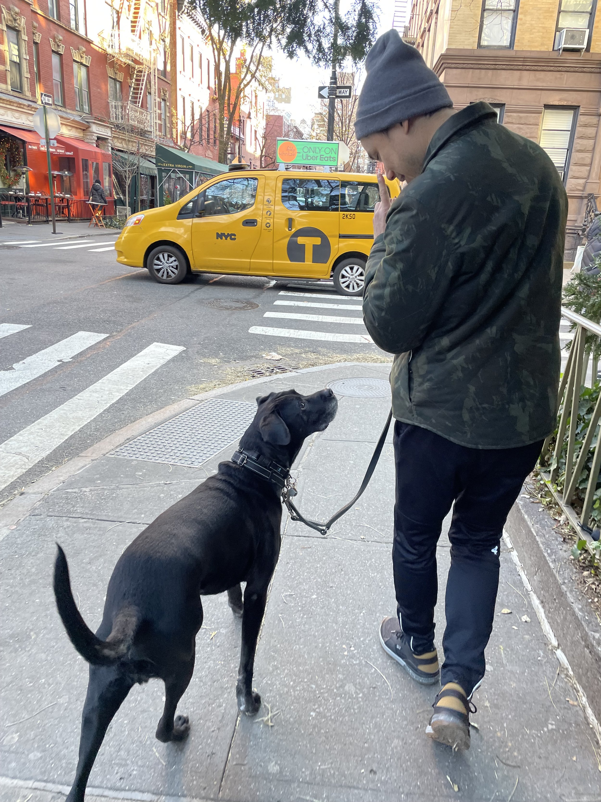 A man in a gray beanie and black jacket walking his black dog on a city street. The man is looking down, and the dog is looking up at him. There is a yellow NYC taxi and storefronts in the background.