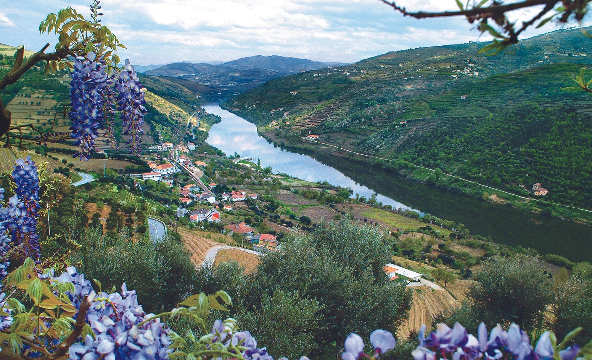 DOURO_PT_DouroRiverValley.jpg