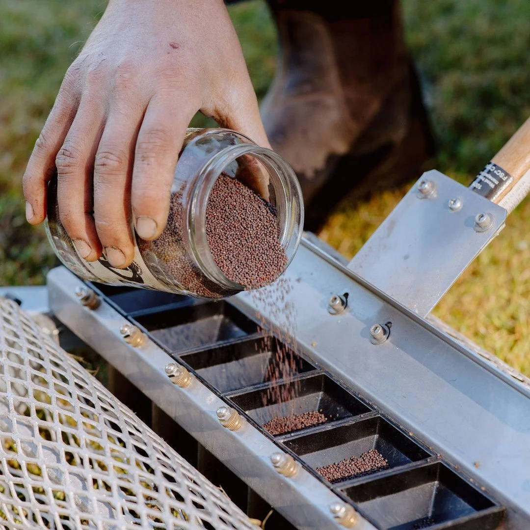 Each and every week we plant the goodies for our flagship product the 'Leaf &amp; Lettuce Mix' which consists of up to 13 different varieties of lettuce, micro-greens, sprouts, beet, spinach and mesclun leaves. 
We harvest early in the morning - befo