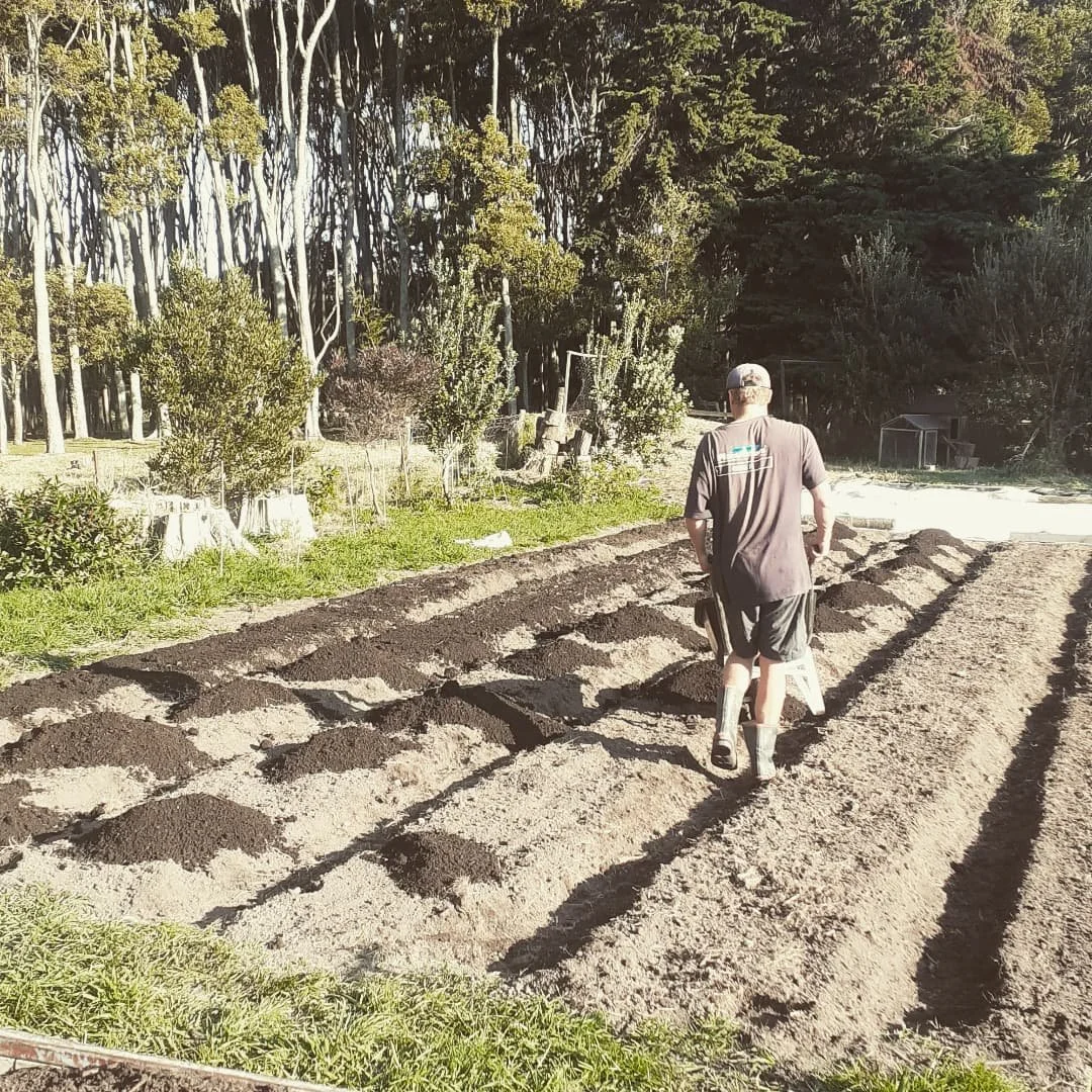 We have been prepping the land and composting for the next round of crops.  @fraser_cron spent all night on the dancefloor and all day in/on the barrow. Kudos to you Cron. 
Yesterday I planted a red and green mesclun mix which will be due to hit the 