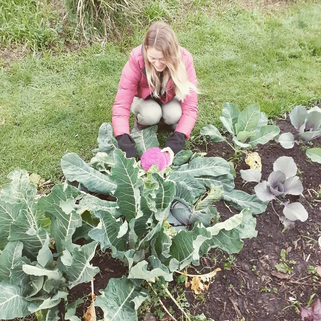 Fresh veg on it's way to Chef Cloe! @zephyr.wainui 
🤠