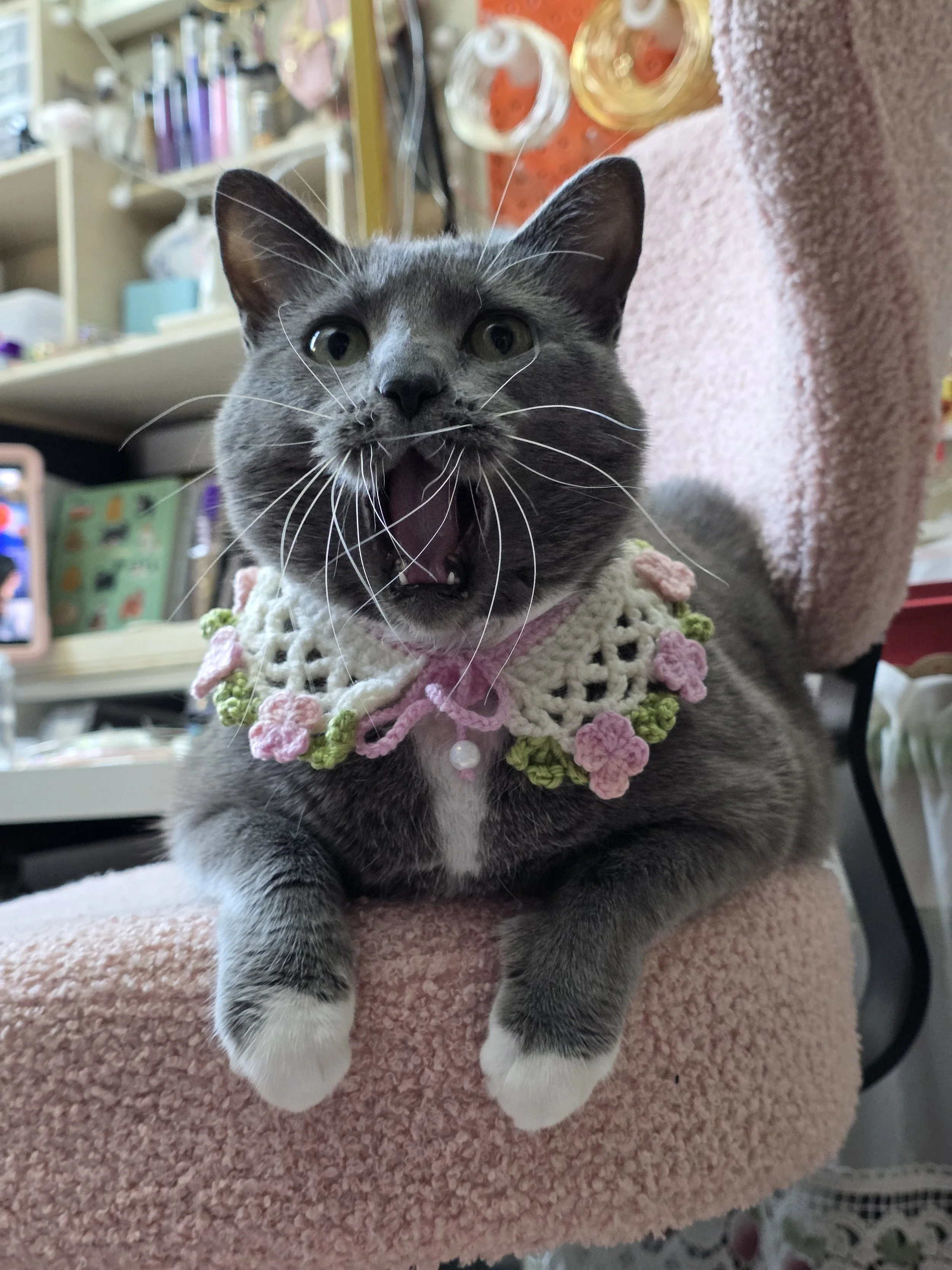 Pop up at Artifact: Creative Recycle - Cats of Sunnyside