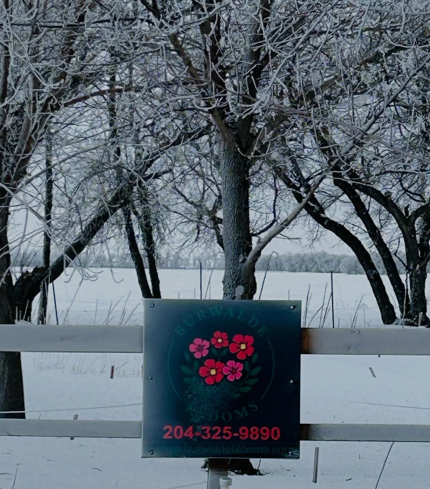 March 3026 at Burwalde Blooms Flower Farm. Cold and frosty outside but lots of planning happening inside. Lots happened over the winter that keep our attention away from the farm but we will be back for a second summer of flower farming. Keep followi