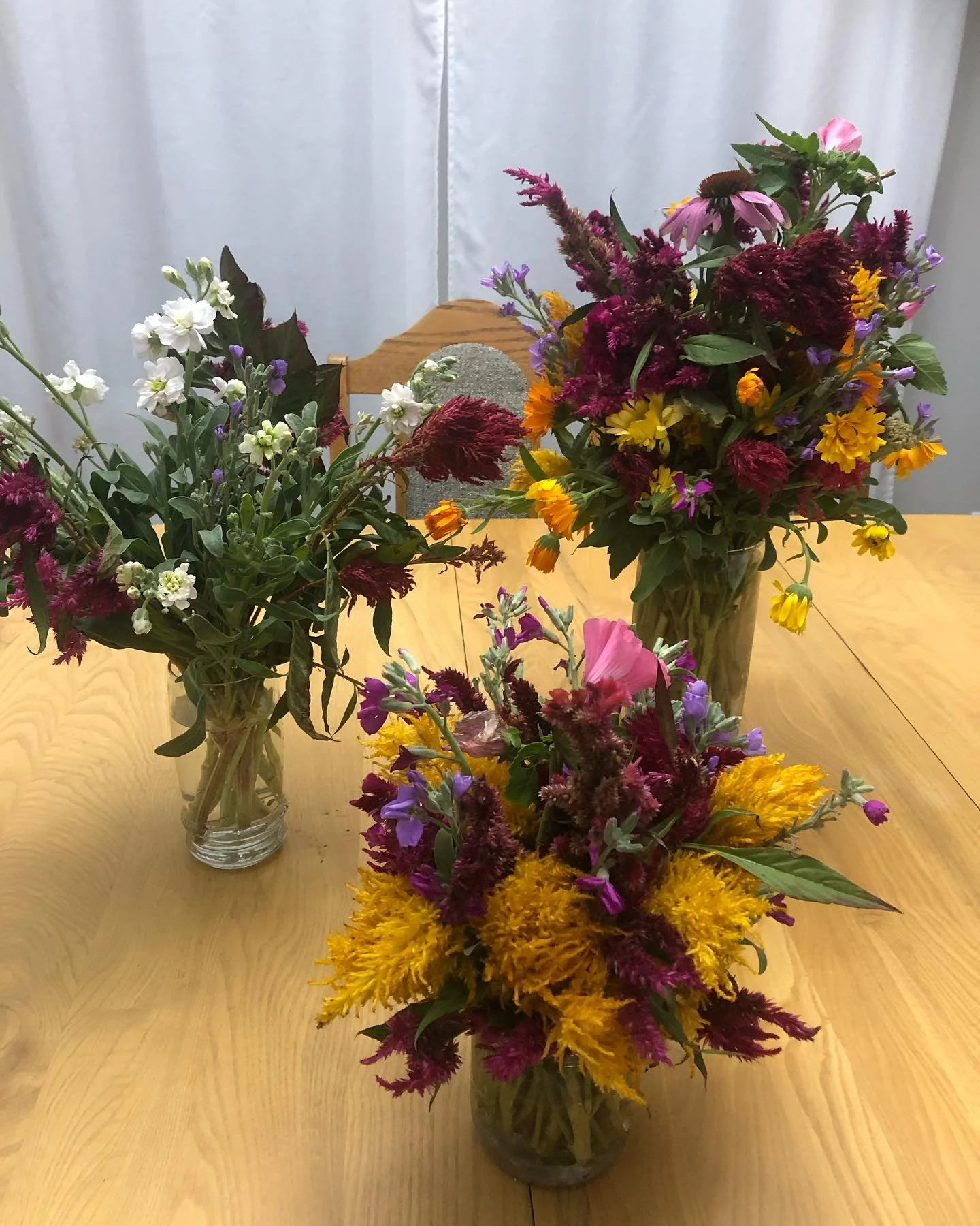 These flowers are survivors!!!The frost did not get to them.  They continued to bloom even when everything around them is frozen. #manitobaflowerfarmer #BurwaldeBlooms#fallcolors