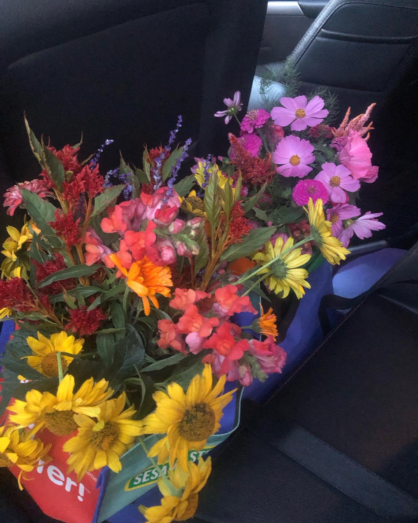 Off to Winnipeg.. some to share and some to enjoy. #lovewhatyoudo#fallflowerfarm#BurwaldeBlooms