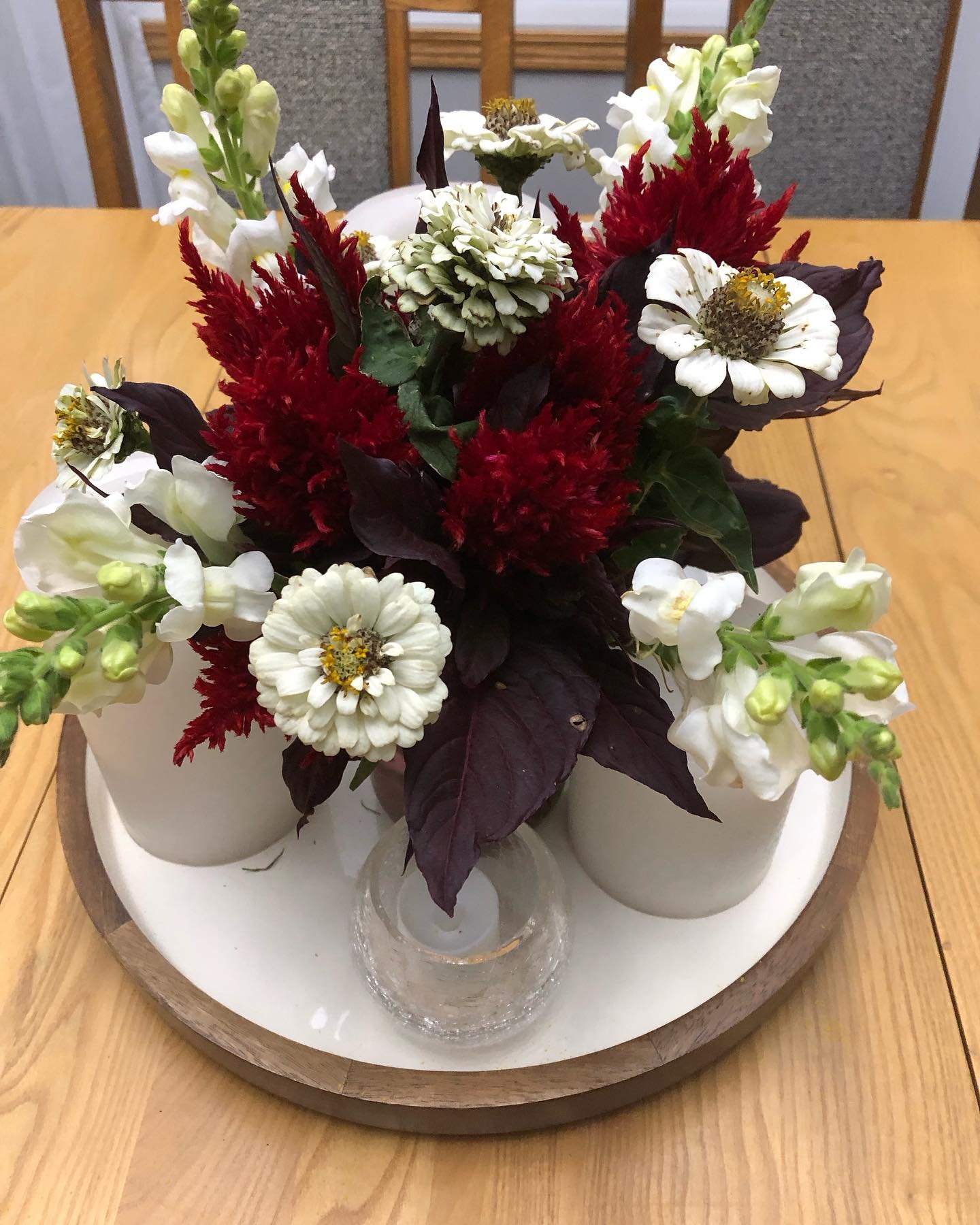 There are a few blooms left.  Had to bring them inside.