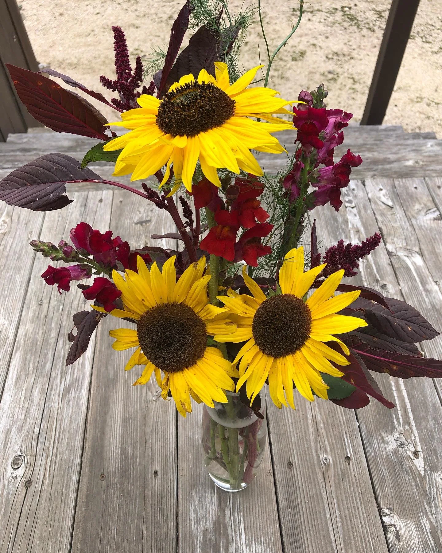 Still a some blooms to pick. Last u pick for 2025 is Sept 18.