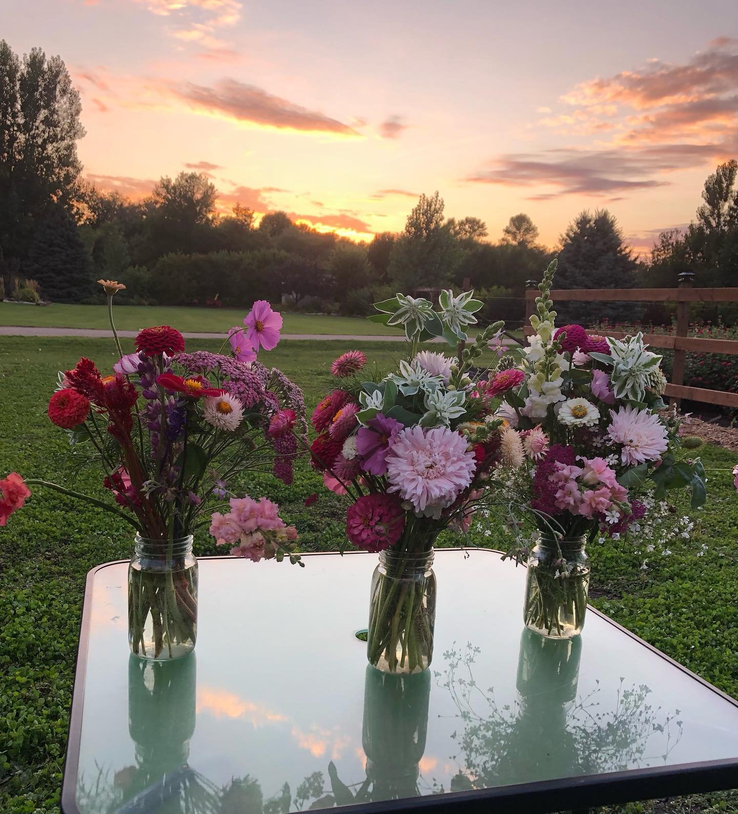 Peaceful evening with 3 lovely ladies picking and arranging flowers. #BurwaldeBlooms#upickflowers#friendship#