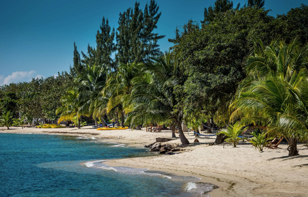 Tropical Leisure.PNG