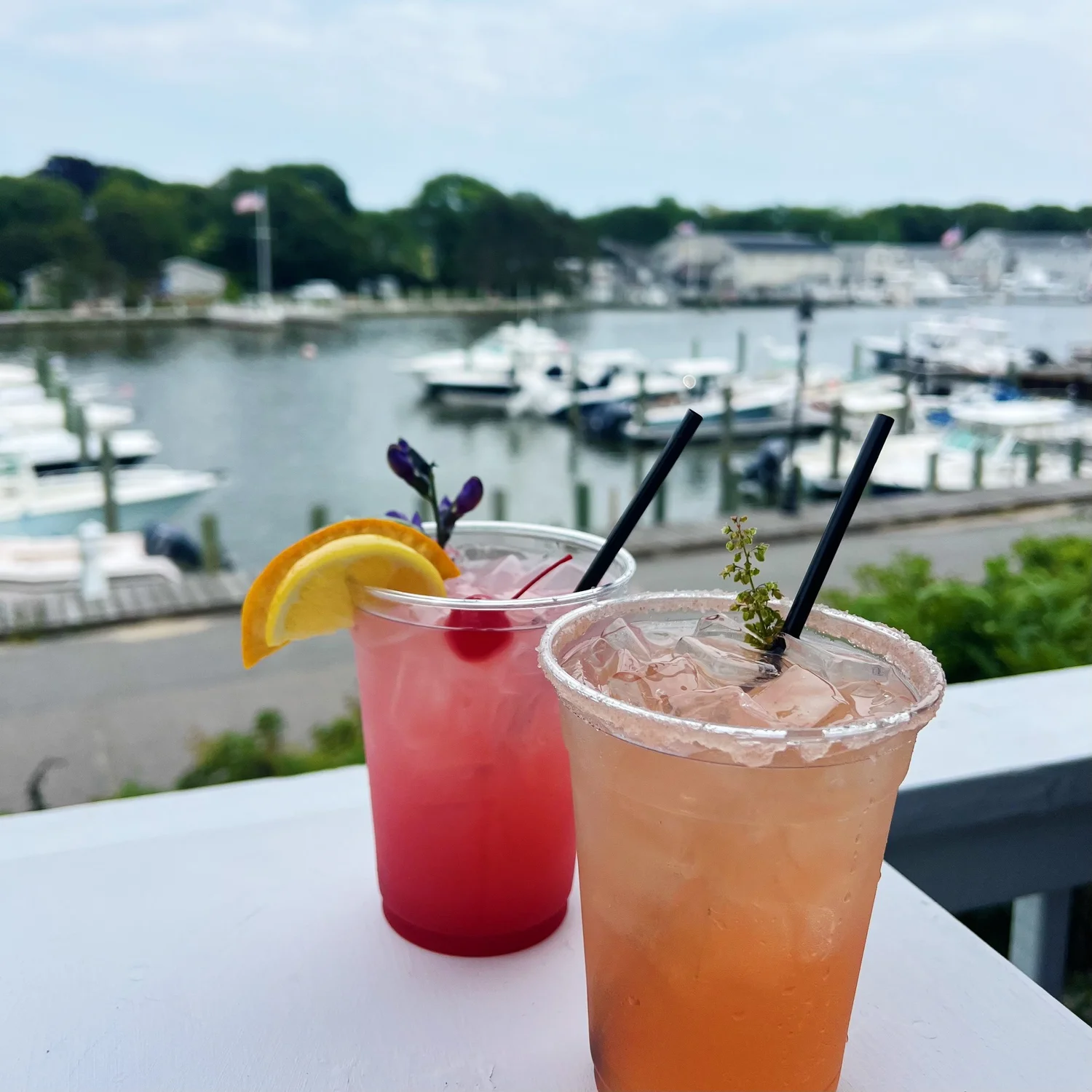 Gallery | Explore — Falmouth Raw Bar