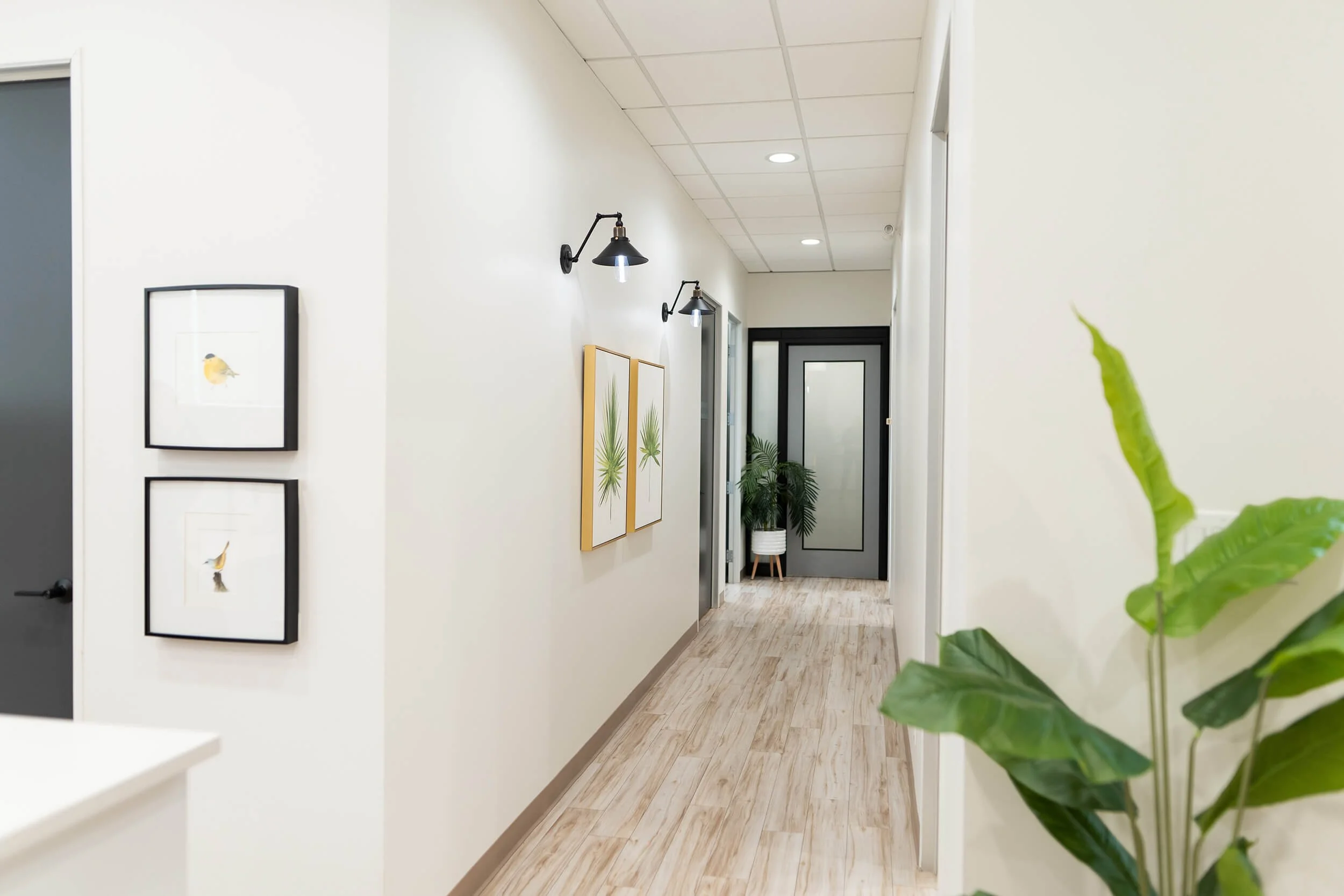 A clean modern hallway with light-colored wooden floors, white walls, black door frames, and artwork of birds and plants. There are wall-mounted black lights, and a potted plant at the end of the corridor near frosted glass doors.