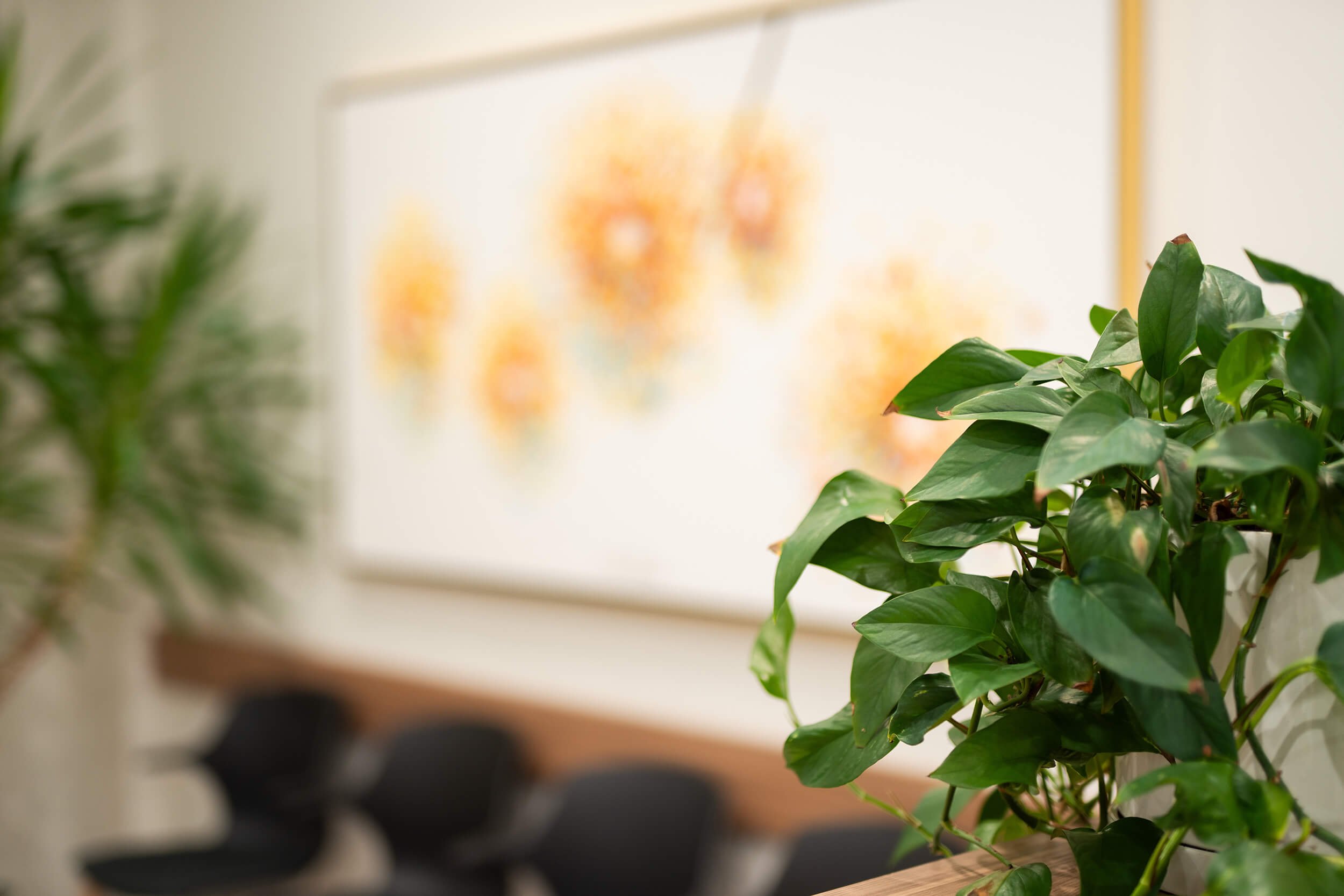 Close-up of green houseplants on a wooden table in a room with blurred artwork on the wall.