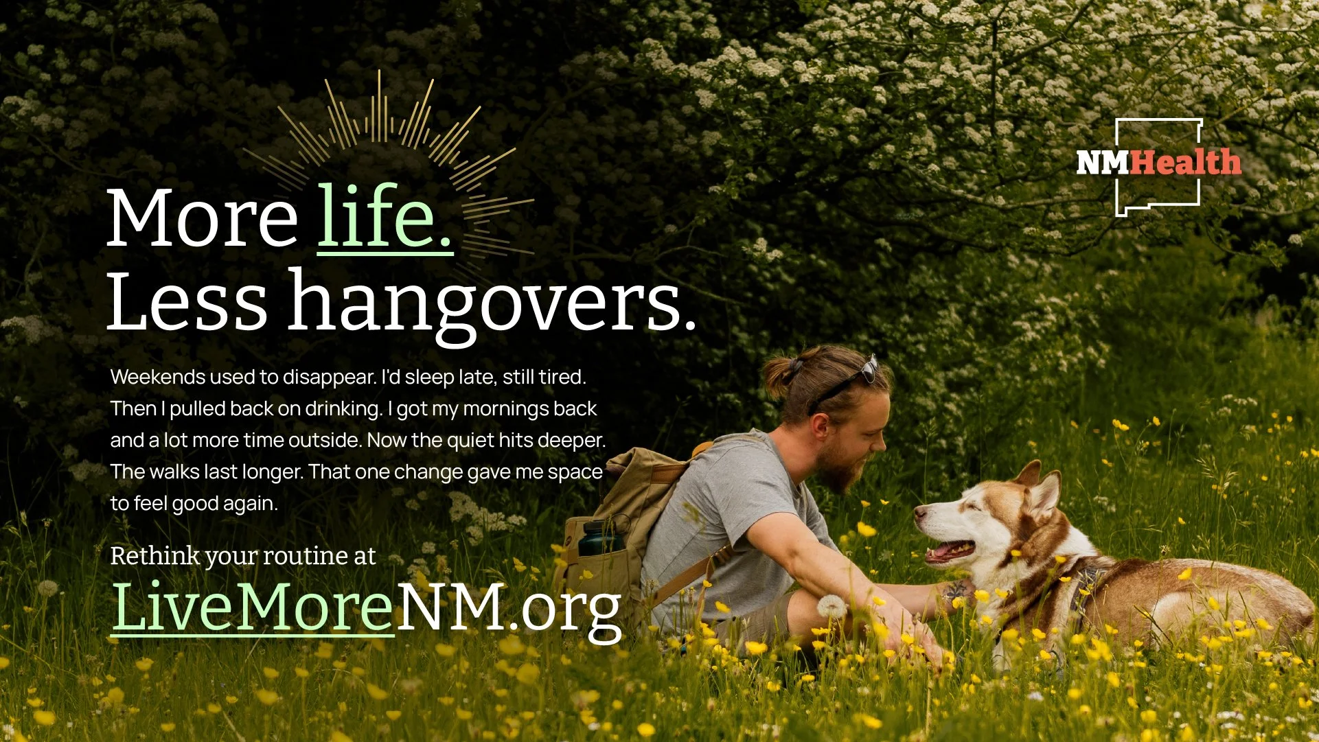 A man with a beard and sunglasses resting on his head, sitting outdoors in a field of yellow flowers, smiling and playing with a friendly dog with a brown and white coat, accompanied by the LiveMoreNM.org logo and text promoting healthier living.
