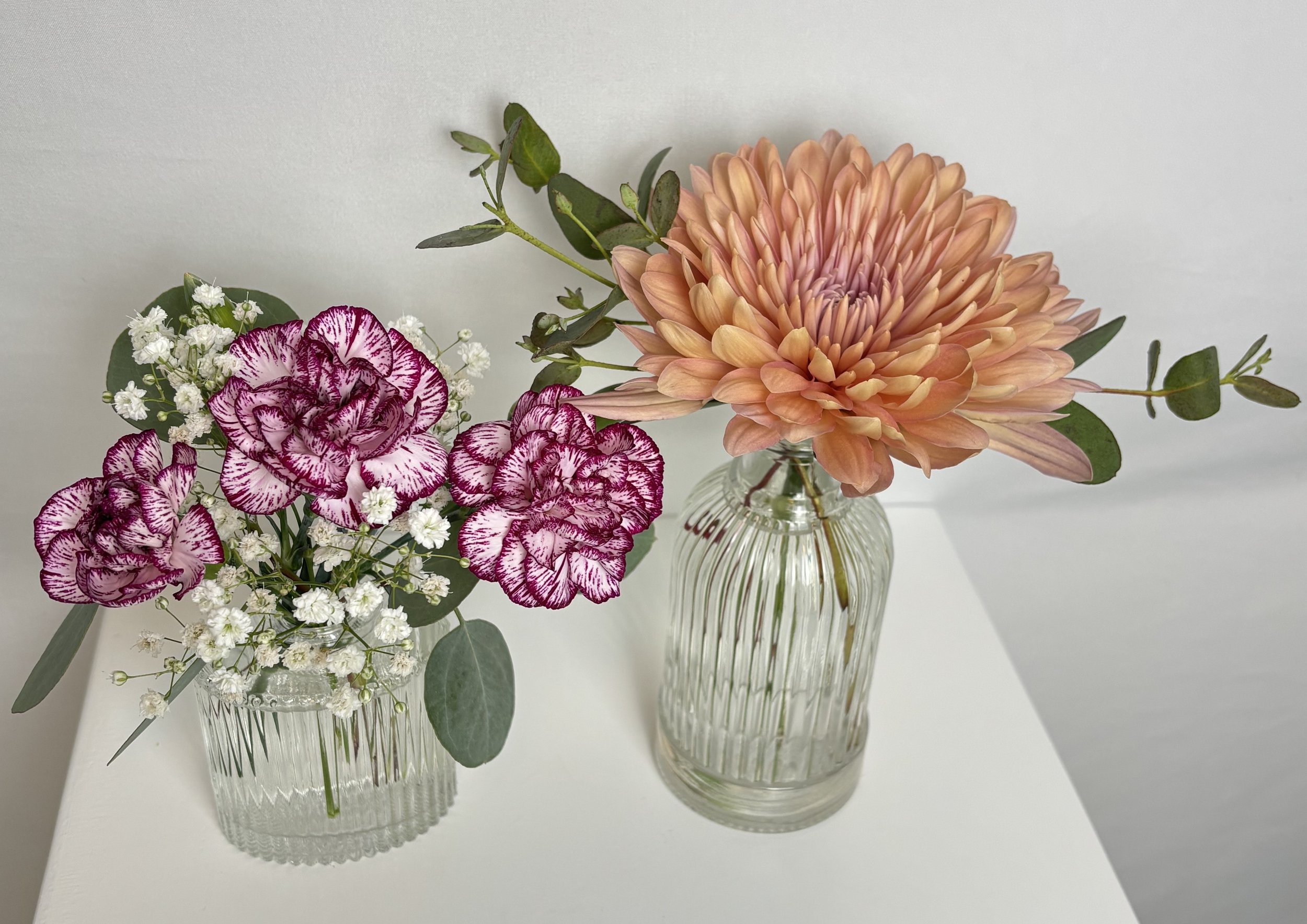 Mum and Carnations Cropped.jpeg