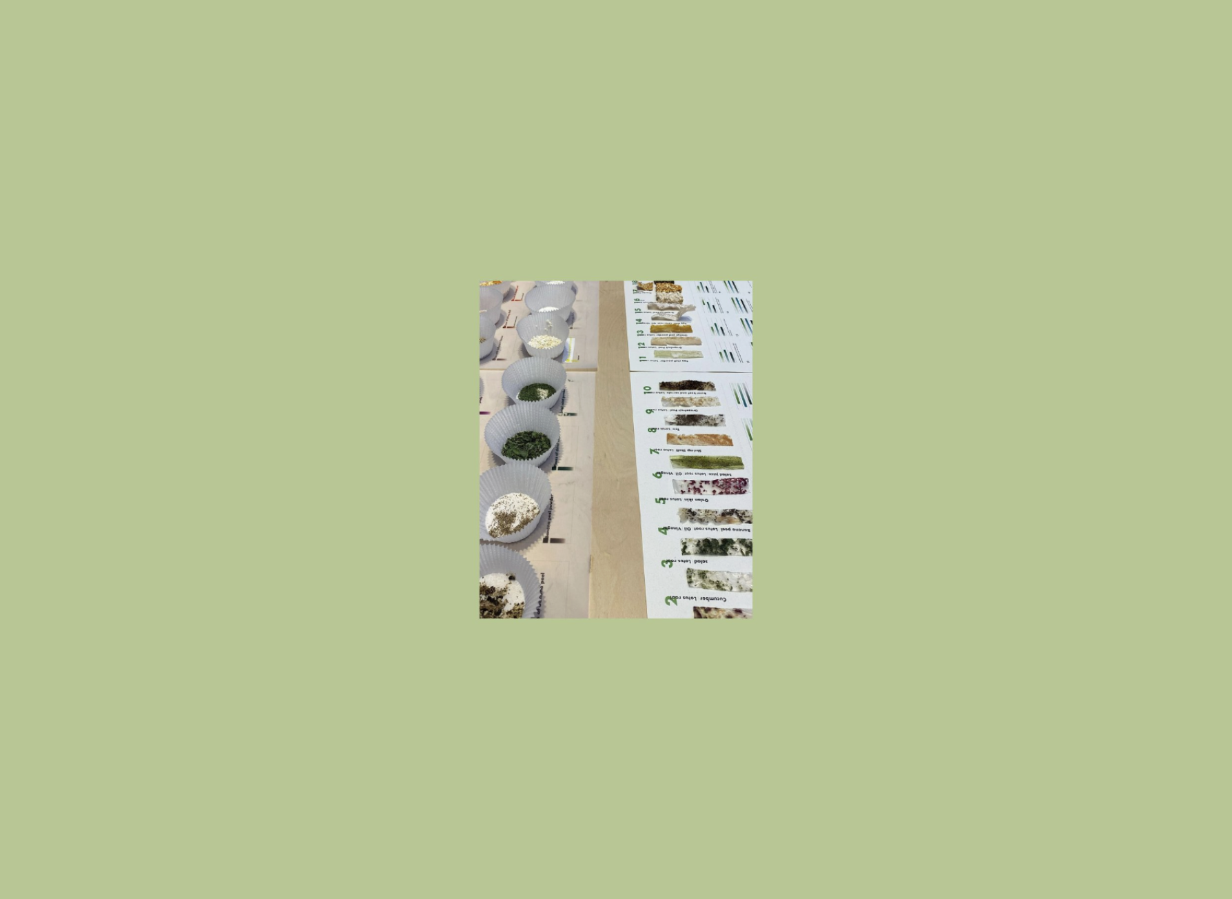 Screenshot 2025-07-14 at 14.14.05.png