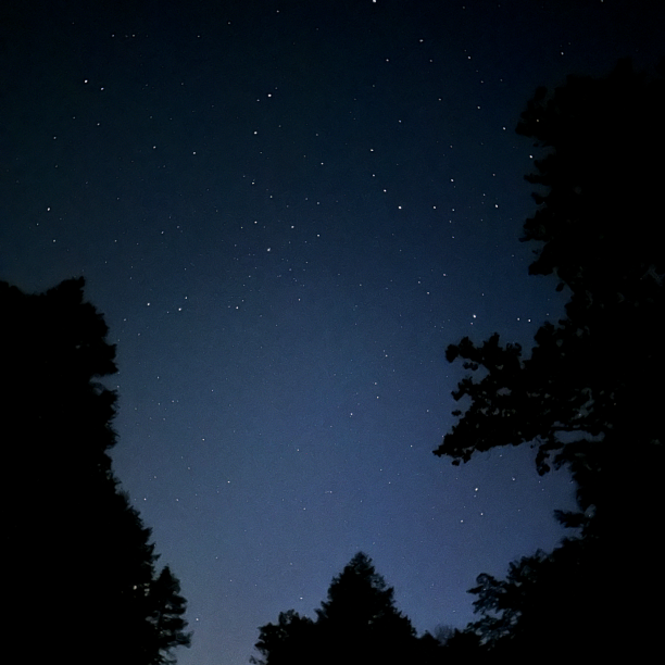 Revisiting The Church