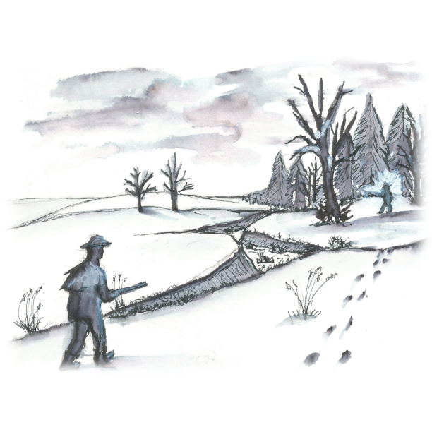 Johnny's Ghosts: Family Too and More Personal Accounts