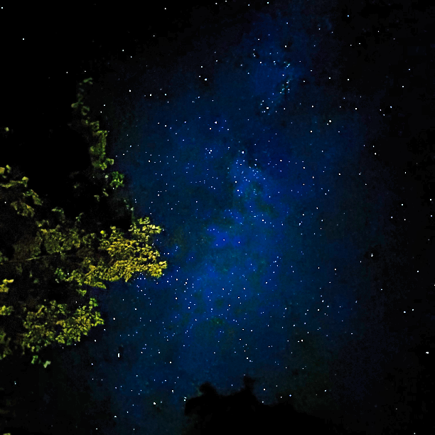 Dark Skies, Deep Theories, and our Consciousness as an Instrument of the Phenomena