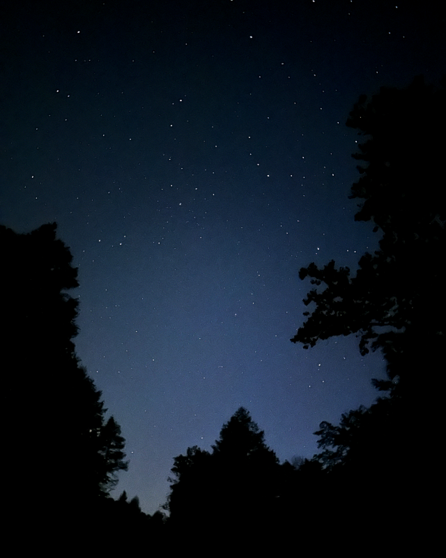 Nighttime at The Church