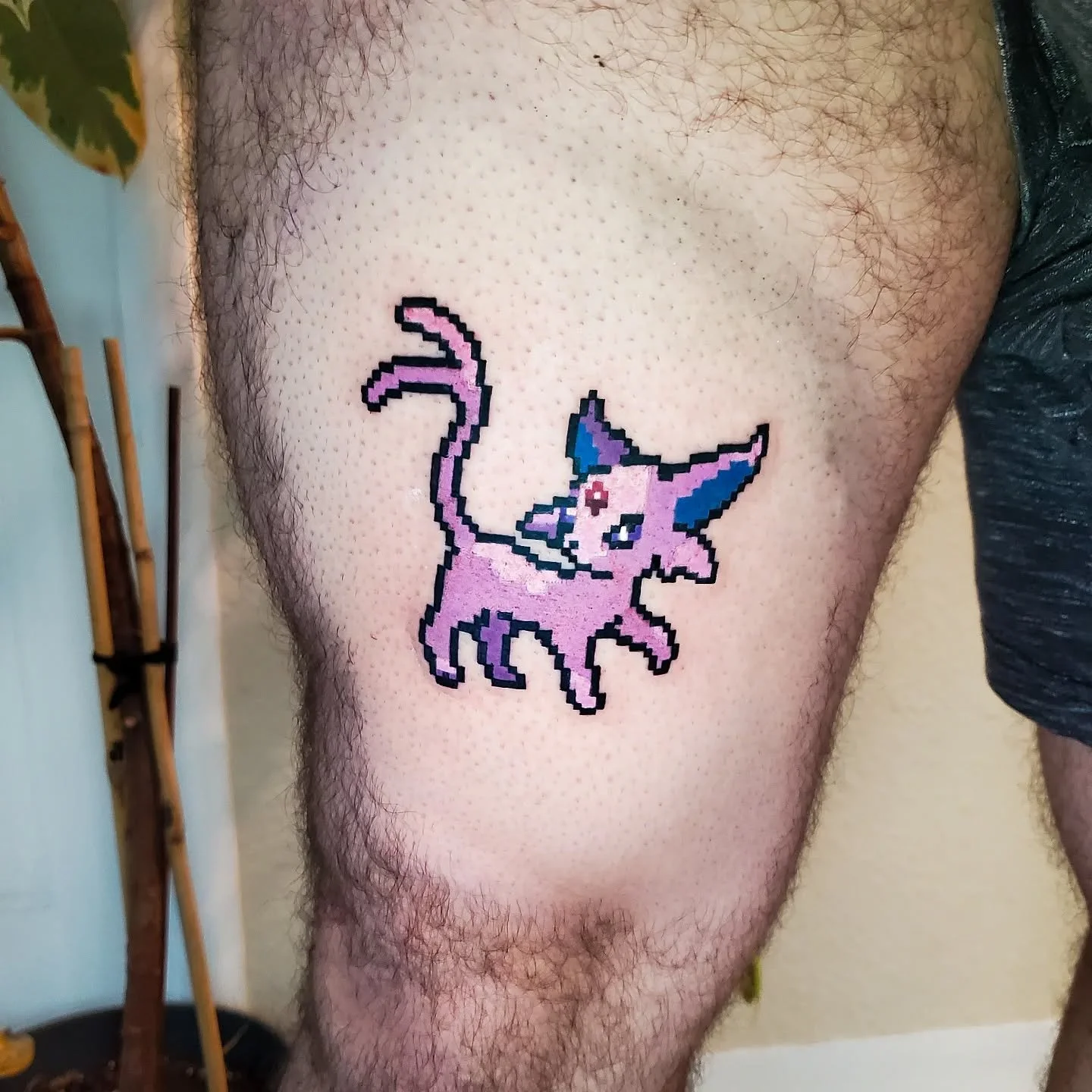 Espeonnnnnnnn ~ I love doing 8-bit pokemon sprites ~
-
-
#pokemontattoo #sacramentotattooartist #videogametattoo #espeontattoo #tattoo