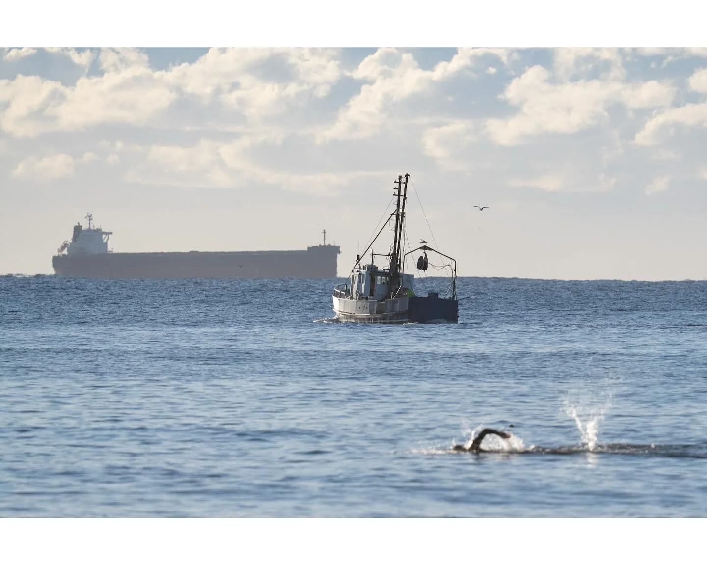 &ldquo;You are not a drop in the ocean&rdquo;
.
.
.
#ocean #sea #ship #boat #swim #beach #horizon #sky #clouds #landscape #landscapephotography #coast