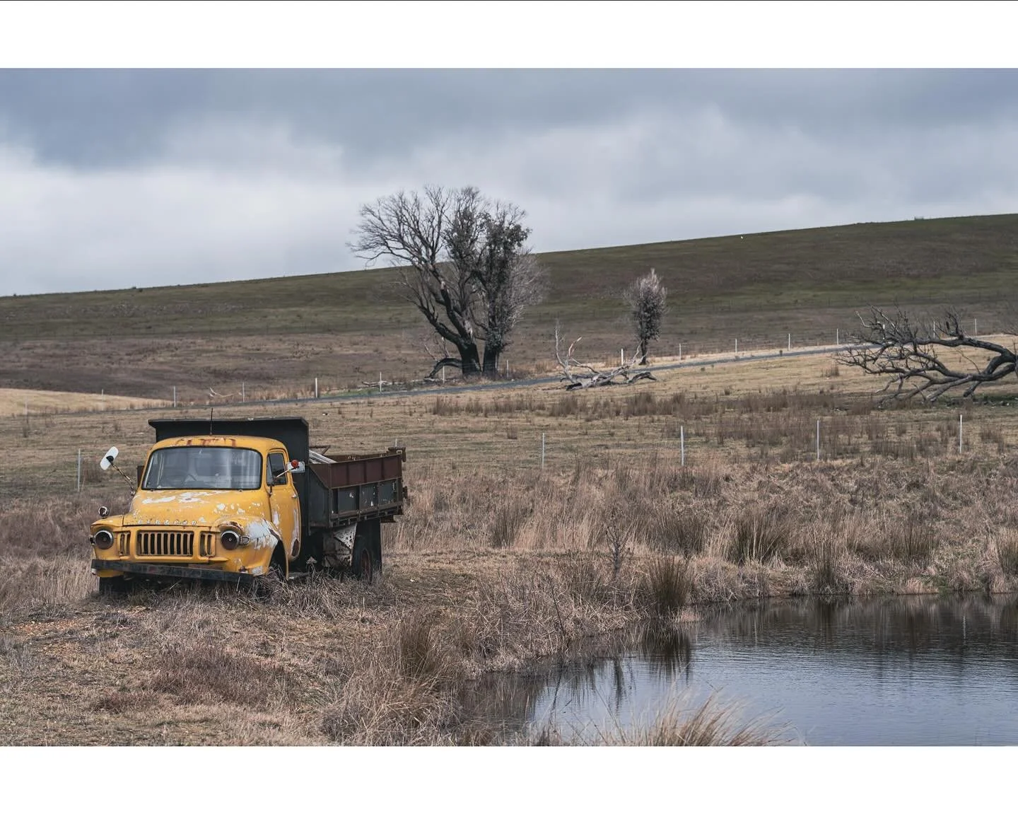 Rust. Dust. Grace.
.
.
.
#rust #truck #outback #roadtrip #farm #landscape #photographer #photography #tree #water #yellow
