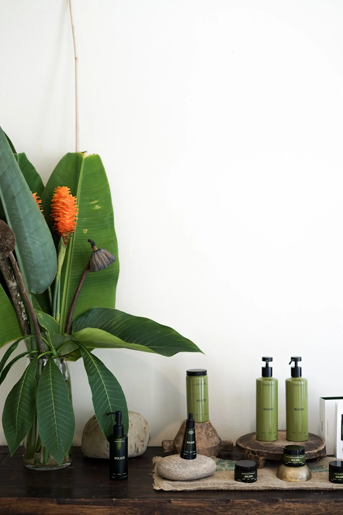 A large green tropical plant with broad leaves in a clear glass vase, placed on a wooden surface. To the right, there are skincare products, including bottles and jars, arranged on and around stones and fabric, with a white wall background.