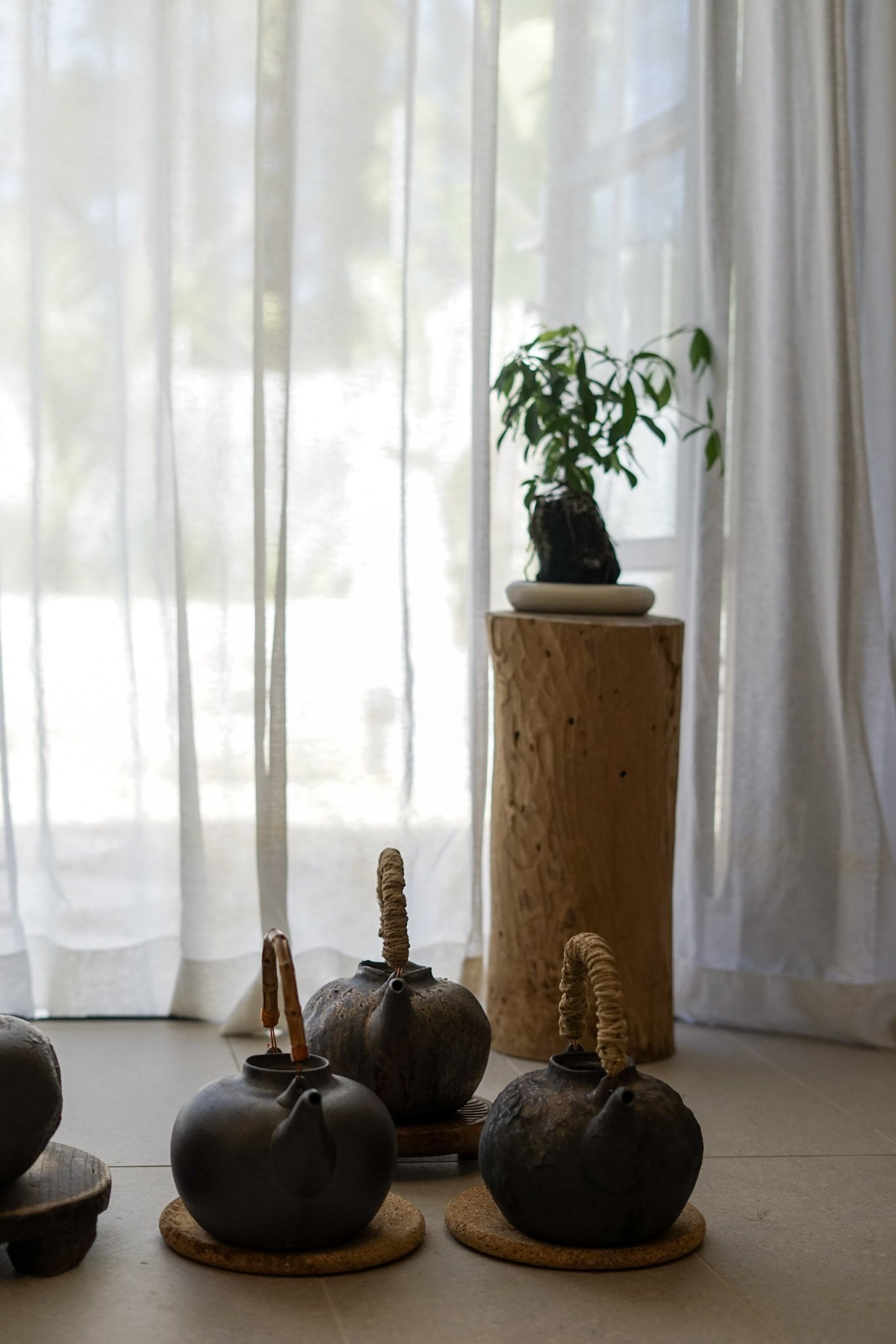 Several traditional Japanese tea kettles with bamboo handles arranged on a table, with a backdrop of white curtains and a potted plant on a wooden stand in a softly lit room.