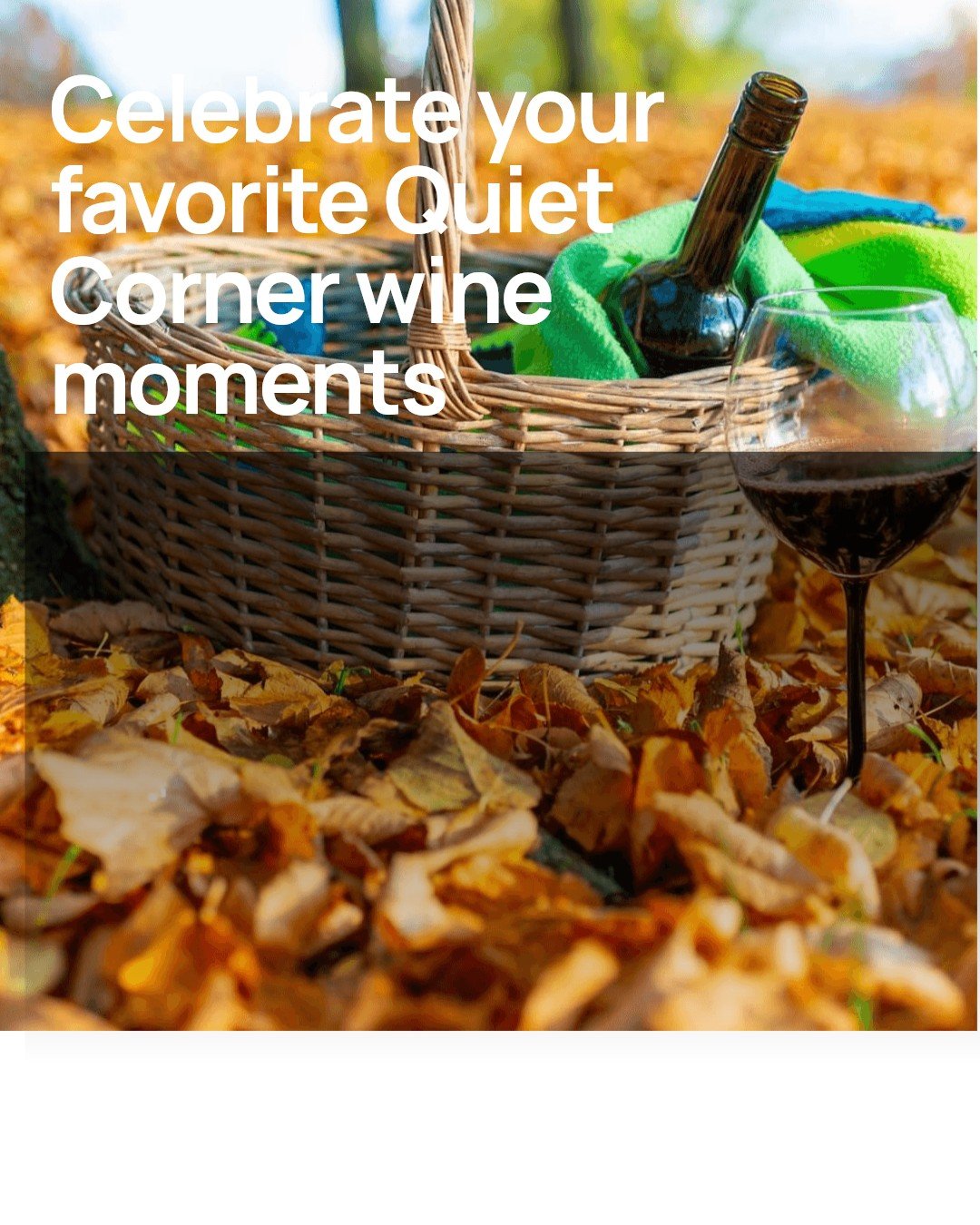 Happy Thanksgiving from all of us at Quiet Corner Winery! We're so thankful for every visitor who's walked through our doors this year &mdash; you've made our launch year truly special. 

From sharing a glass to finding new favorites together, your s