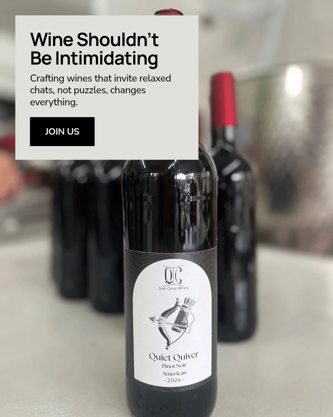 I've always believed a good bottle should invite conversation, not intimidation. When I craft our wines, I focus on clarity and balance rather than complexity that turns people away. Wine should be approachable&mdash;a reason to gather and share stor