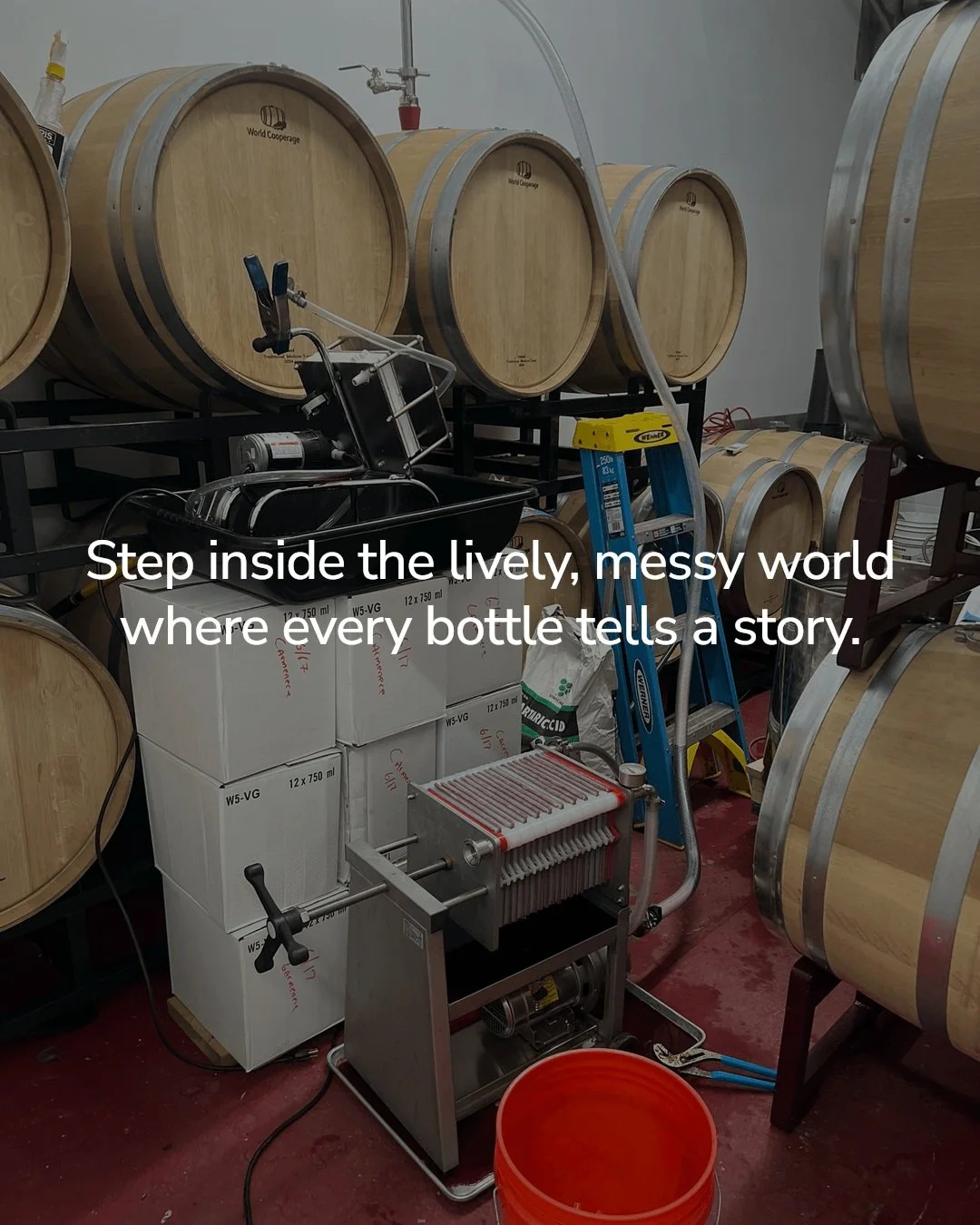 Ever wonder what winter bottling really feels like?

Winter bottling at the winery is like stepping into a hands-on workshop&mdash;chaotic, lively, and full of surprises. It's the time when every bottle captures a story, a bit of unpredictability, an