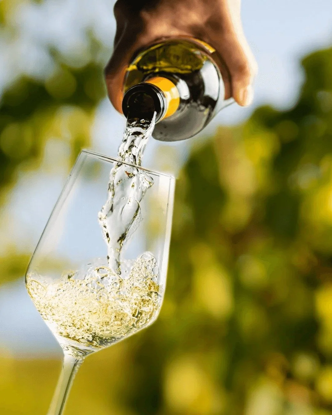 We're refreshing our labels with small design tweaks that give our bottles a fresh face while staying true to Quiet Corner's story! These changes aren't about flashy updates&mdash;they're thoughtful adjustments reflecting the care we put into every b