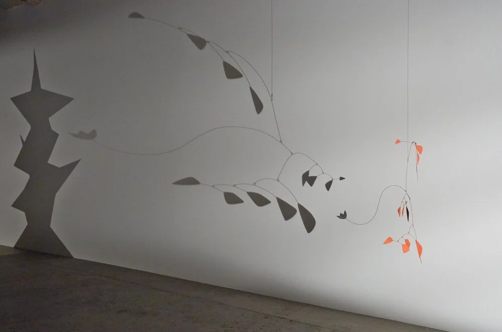 Wall mural featuring shadowed silhouette of a plant with orange and black leaves and a grey and orange butterfly.