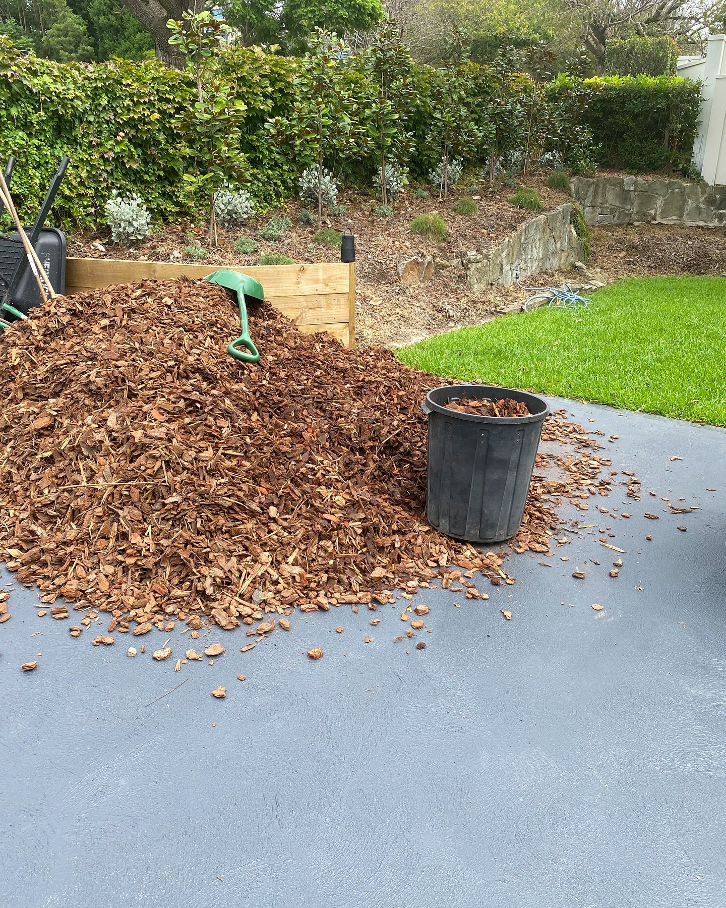 Before & after magic for this client ✌️
Garden areas refreshed with mulch, a neat new spot for the wheelie bins to keep things tidy, and crisp white pebbles placed around the pool & pool shed for a modern touch.
#gardening #gardenglowup #out