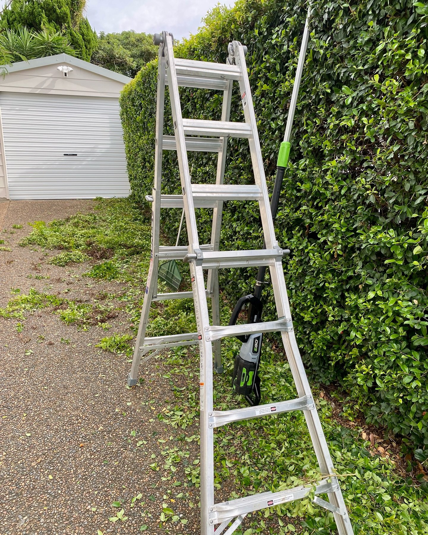 Hedging day ✂️☀️
➡️ Swipe through for some before & afters, and the uncovering of a cute little treehouse under a mango tree.