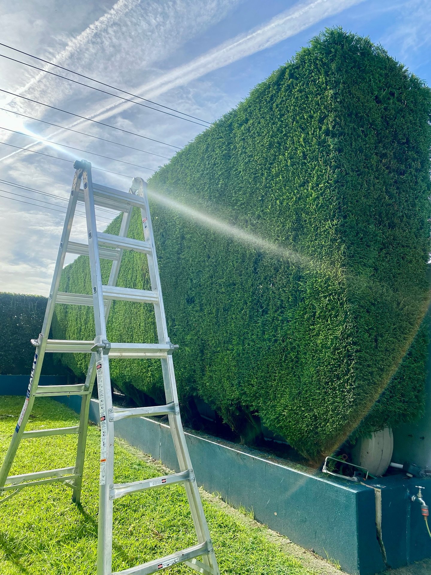 First week of Winter in the books ❄️🍃
1. Cypress trim in Merewether Heights
2. Ficus Pumila trim in Cooks Hill
3. Taking in the views in New Lambton
4. Lawn maintenance in Valentine
5. Mid palm pruning in Eleebana
6. White Cowra pebble install in