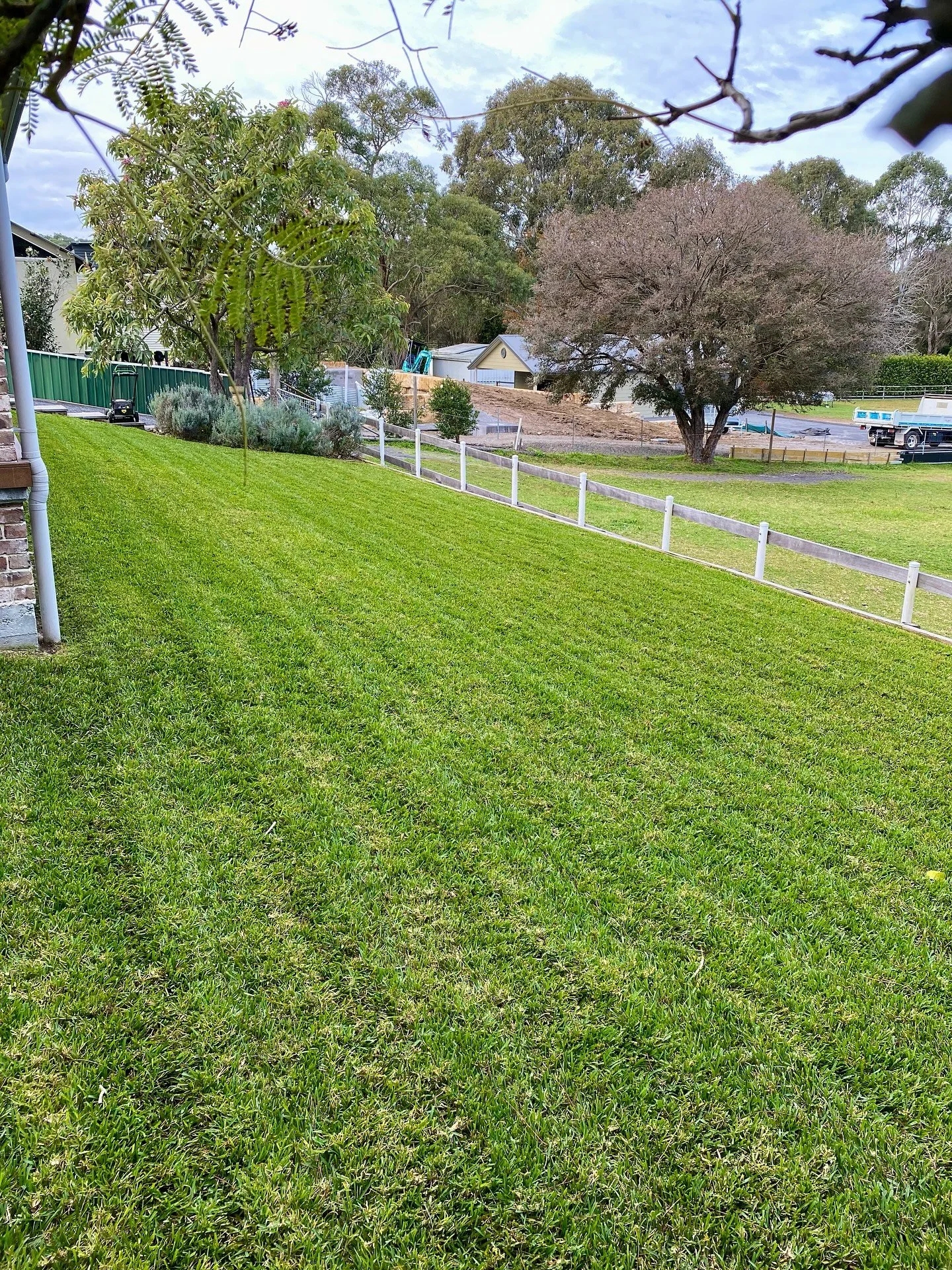 A week of perfect winter weather this week has kept me busy, not long ‘til spring now ✌️
1. Keeping lawns green during winter with regular cuts & nutrients in Warners Bay
2. Freshly cut Lilly-Pilly in Hamilton
3. Winter mows with @egopower