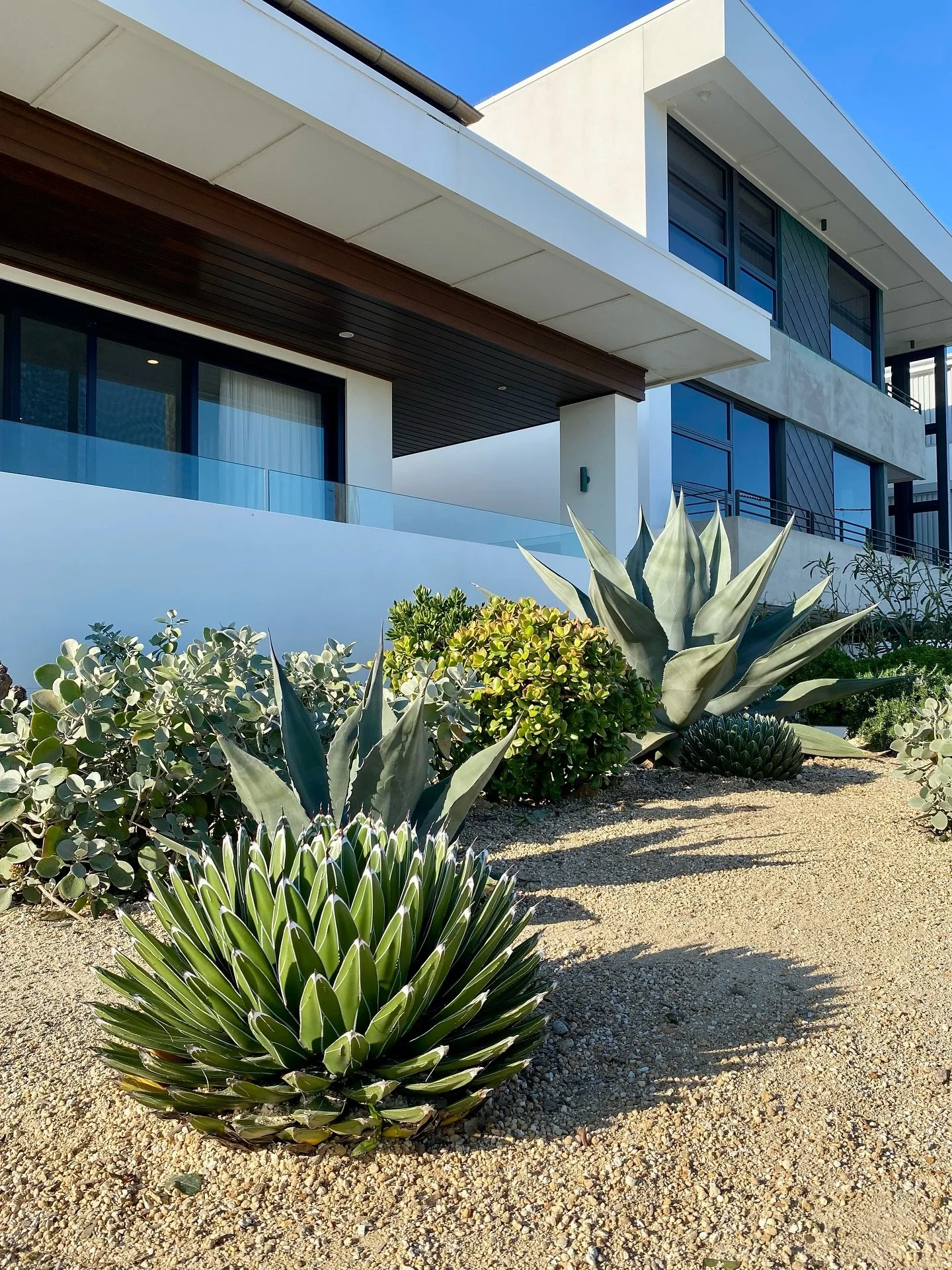 Spring in full swing! Loving this time of year 🥰

1. Planting some stunning Agave Victoriae-Reginae in this coastal garden in Bar Beach.
2. A fresh mow for this relatively new lawn in New Lambton.
3. Lining up a couple of hedges in Merewether Height