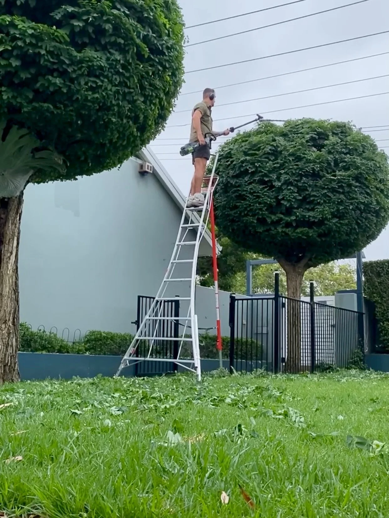 &lsquo;26 begins 🌿

1. &lsquo;Lollipopping&rsquo; a couple of trees in Merewether Heights
2. Large corner hedge reduction in Cooks Hill
3. Couple of fellas hanging out by the pool &amp; waterfall garden in New Lambton Heights
4. Tree shaping in High