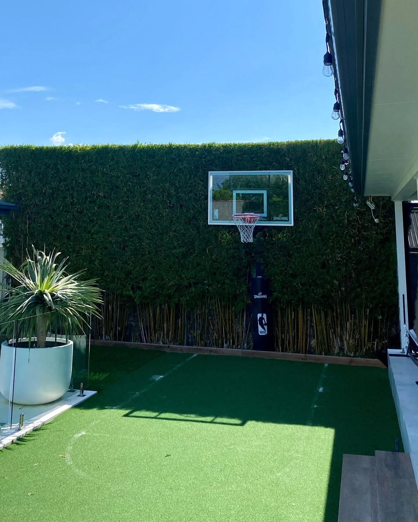 A very sweaty week thanks to the humidity here in Newcastle 🥵

1. Bamboo trim in Hamilton
2. Freshly cut lawn in New Lambton Heights
3. Lawn, Ivy &amp; Buxus trim in Lakelands
4. Pre-sale hedge trimming in New Lambton
5. Another freshly cut lawn in 