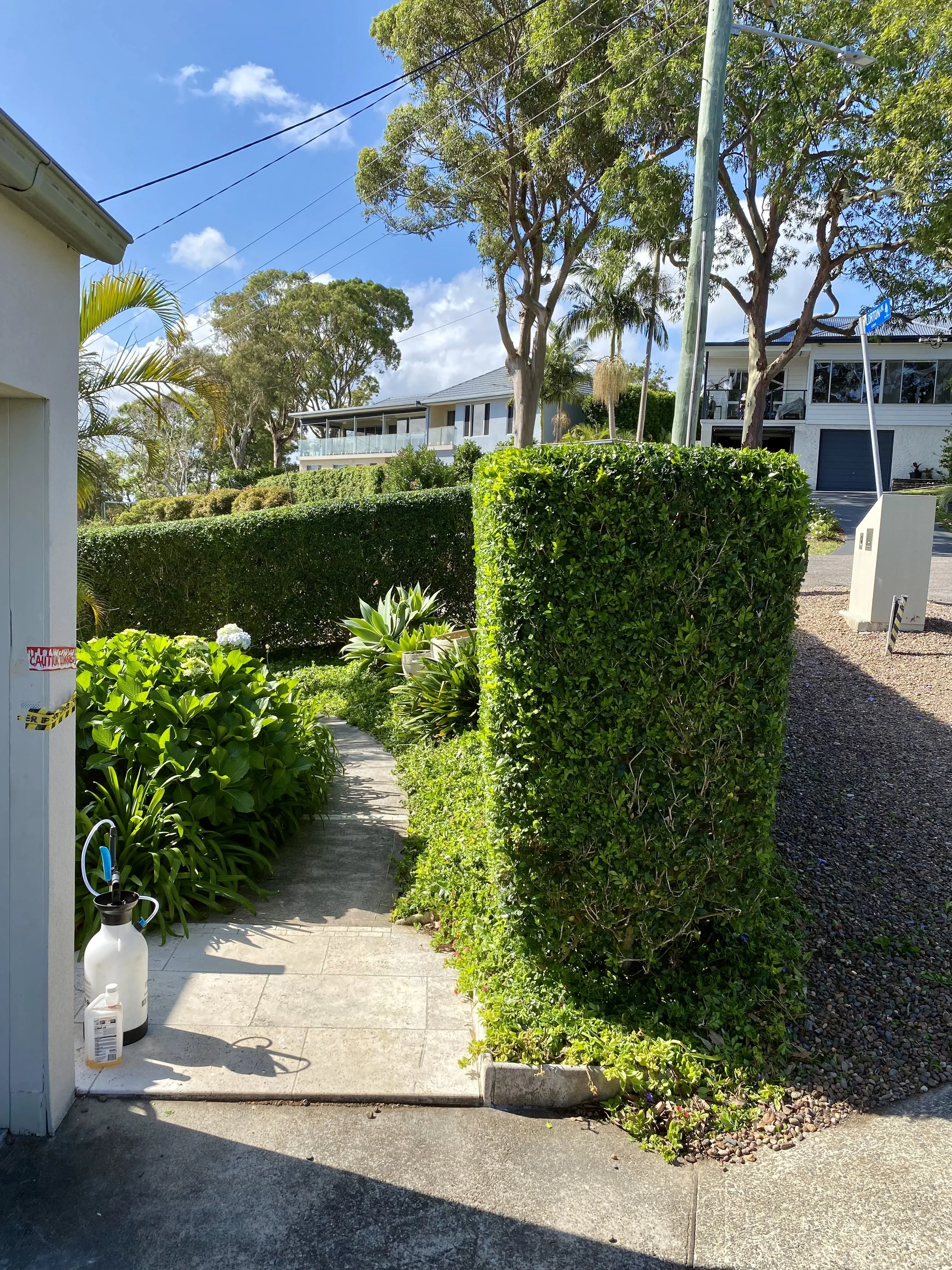 Residential outdoor setting with a paved pathway, neatly trimmed hedges, lush greenery, trees, and houses in the background.