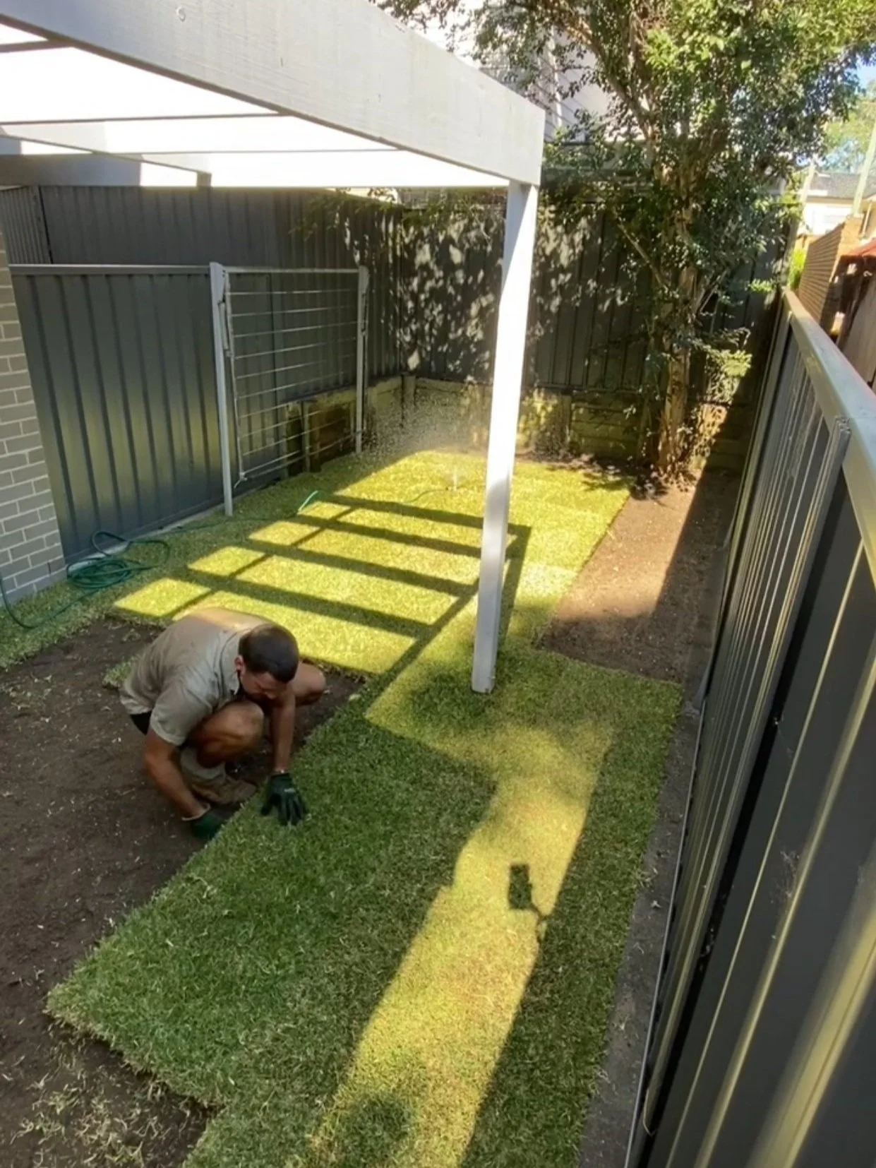 A person laying lawn in a small backyard, next to a white pergola. The area is surrounded by a gray metal fence and trees. The ground has a mix of dirt and newly placed grass lawn.