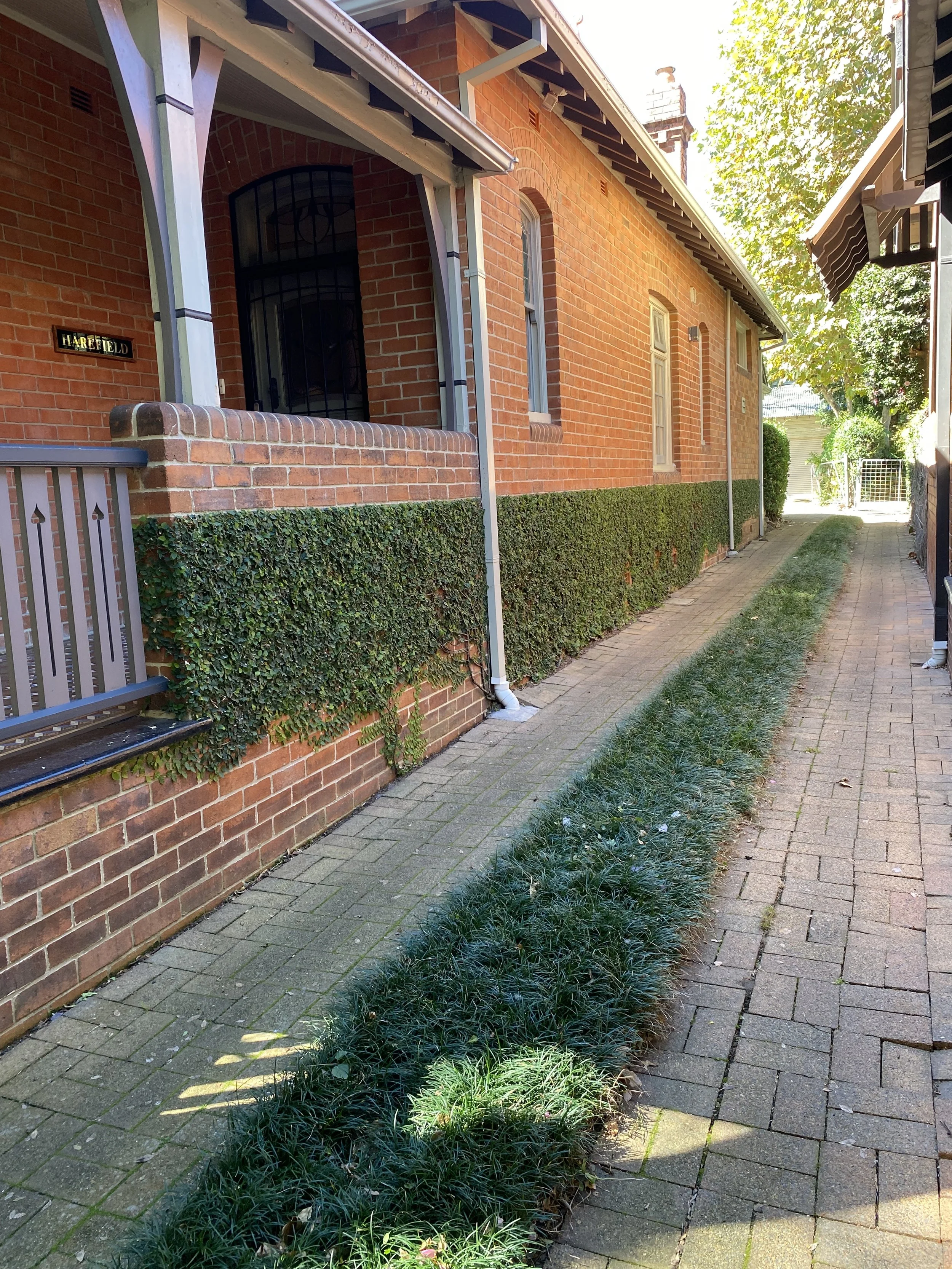 Brick building with ivy, narrow alley, and paved walkway