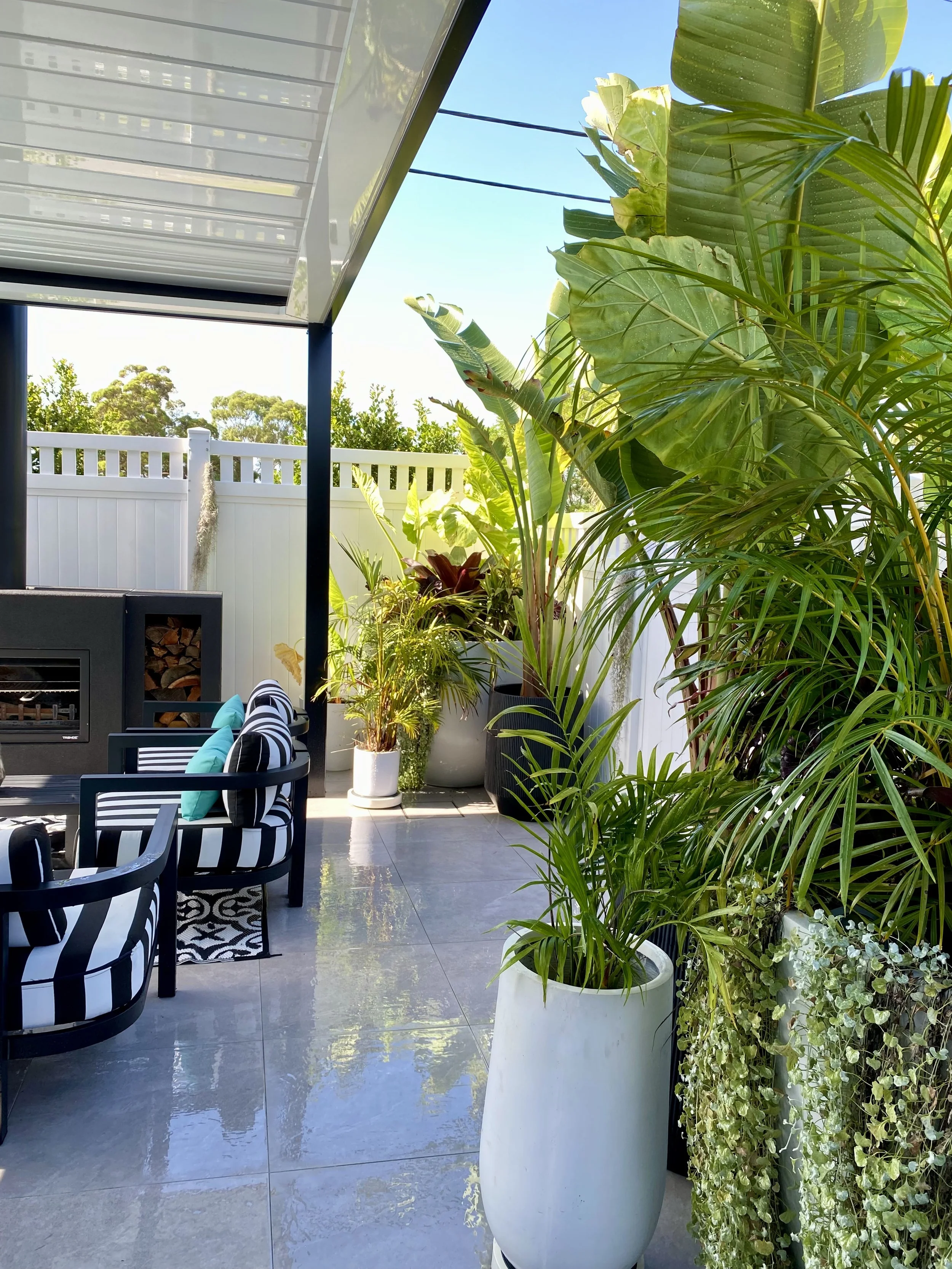 Modern patio with black and white furniture, striped cushions, lush green plants, and a fireplace under a transparent roof.
