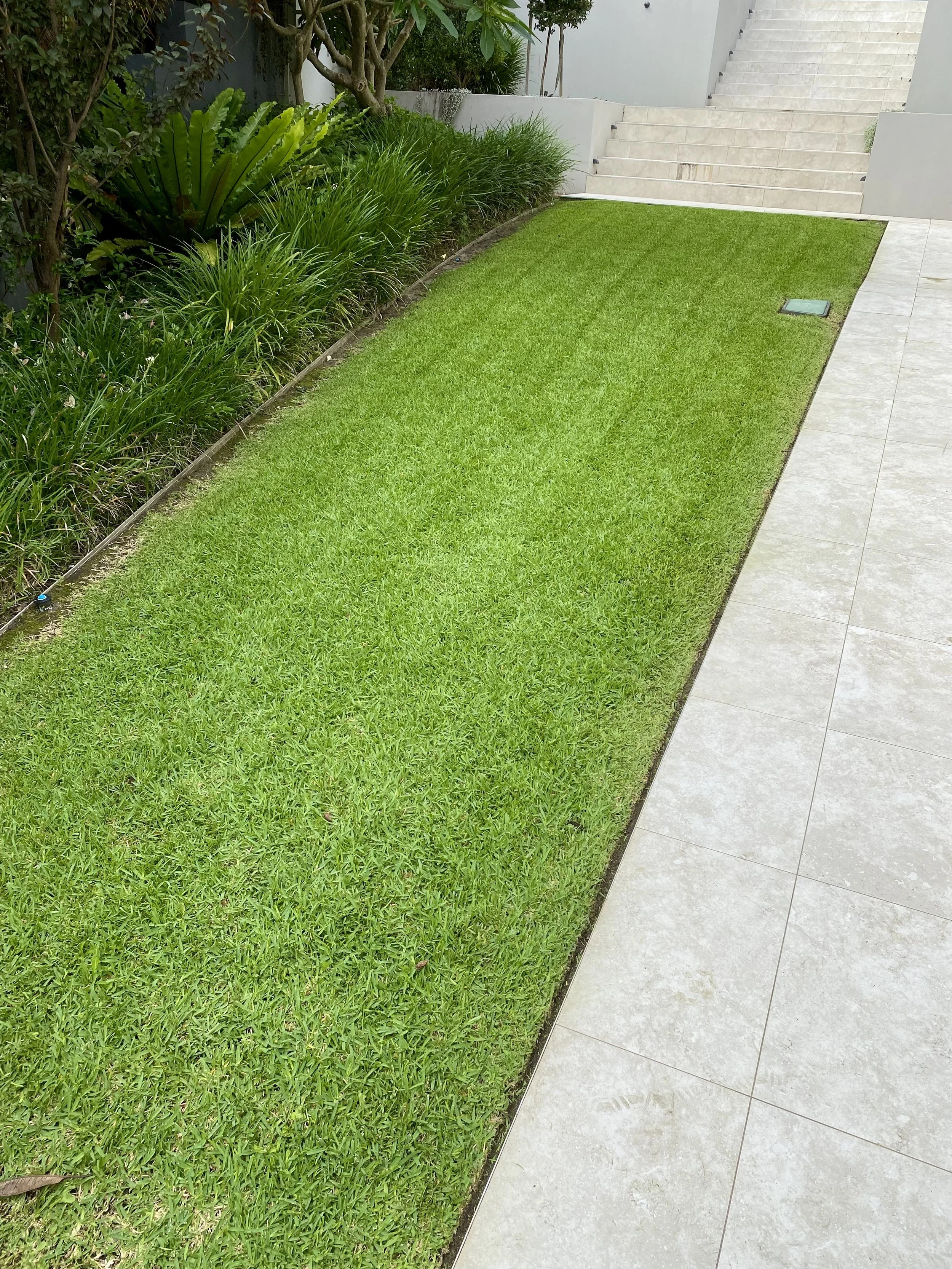 Manicured grass lawn bordered by stone tiles and lush green plants, leading to a set of stairs.