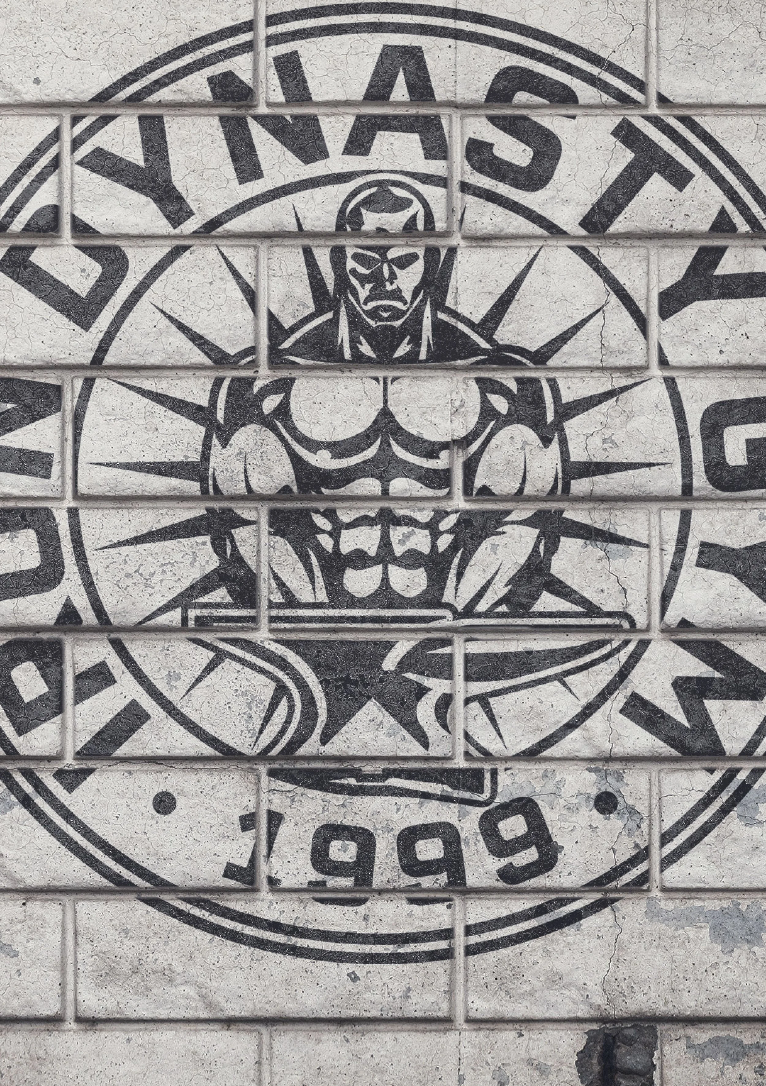 Iron Dynasty Gym