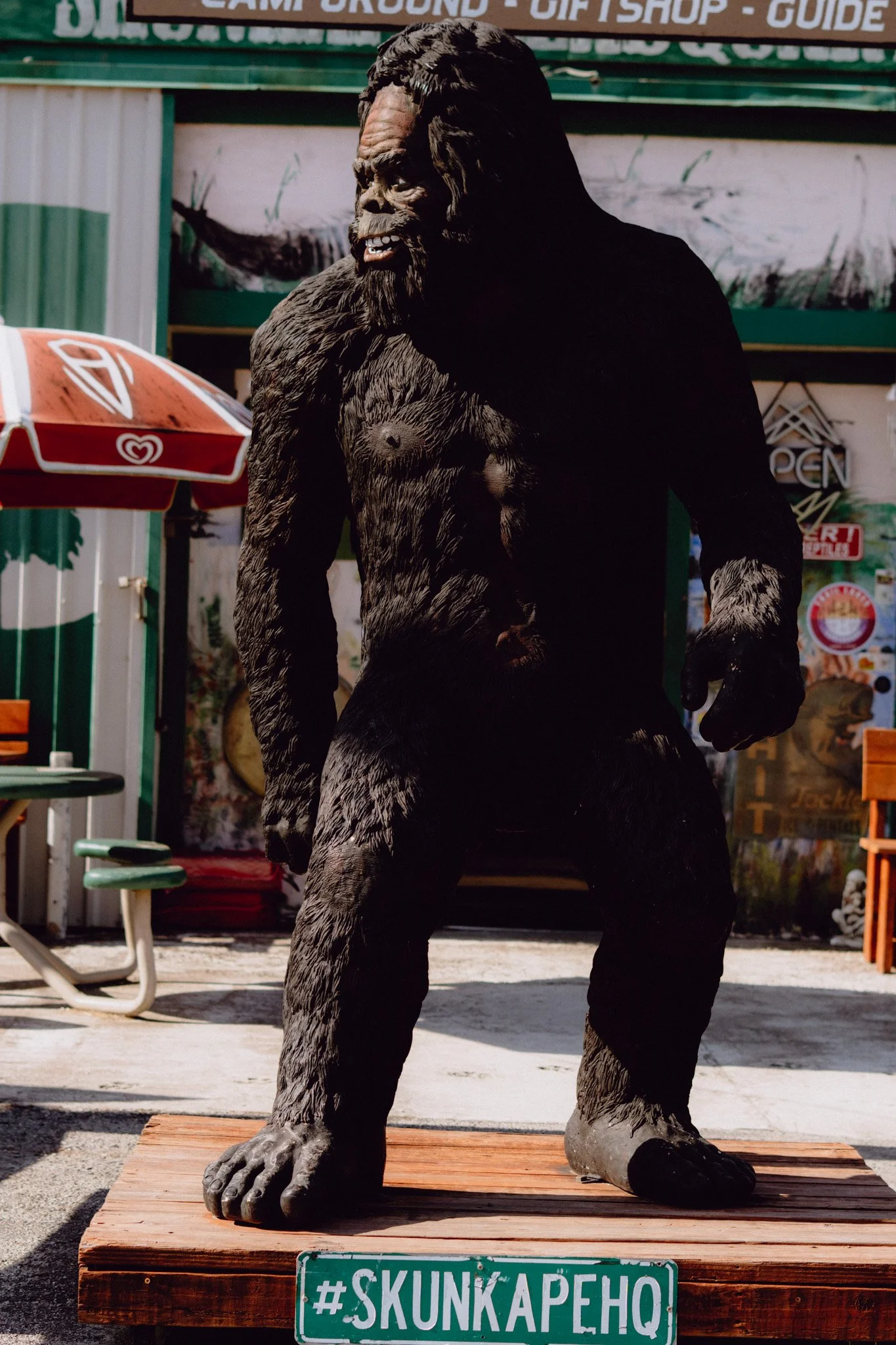 Skunk Ape - Ochope, FL