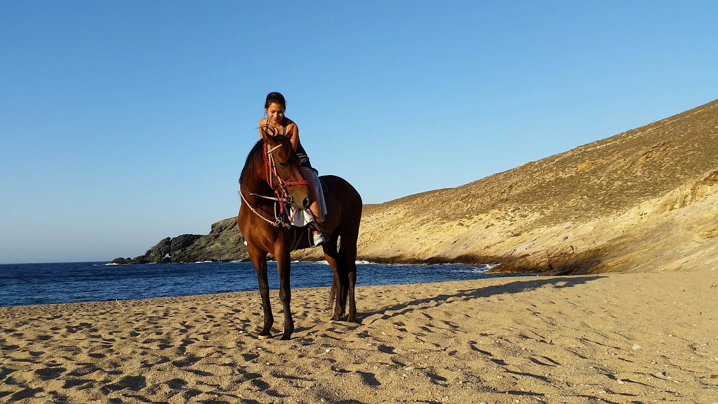 February Reflection &amp; March Expansion