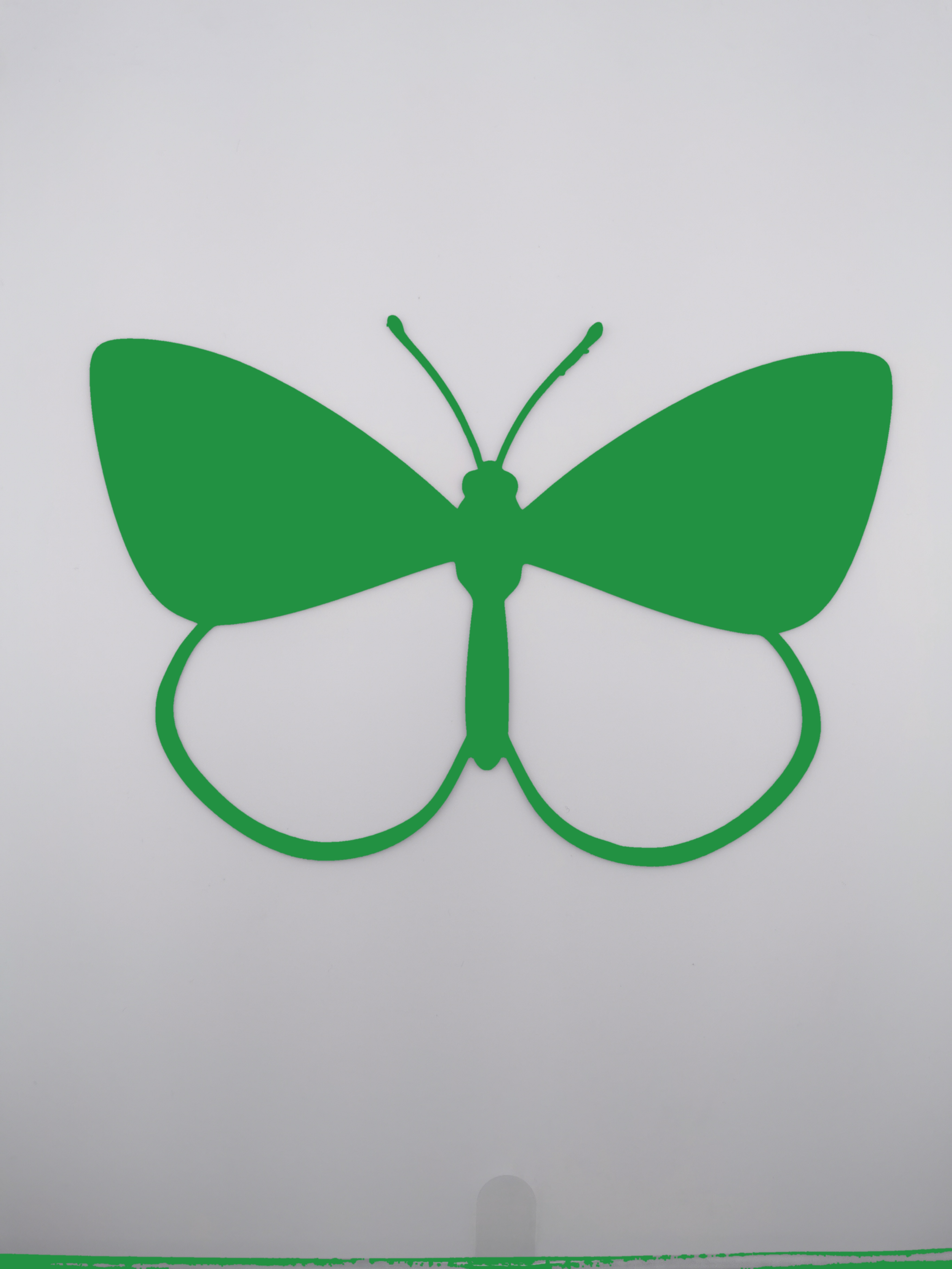 butterfly_green.png